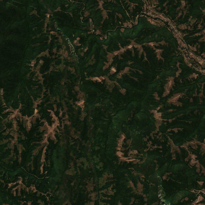 The area before the fire, August 15, 2026