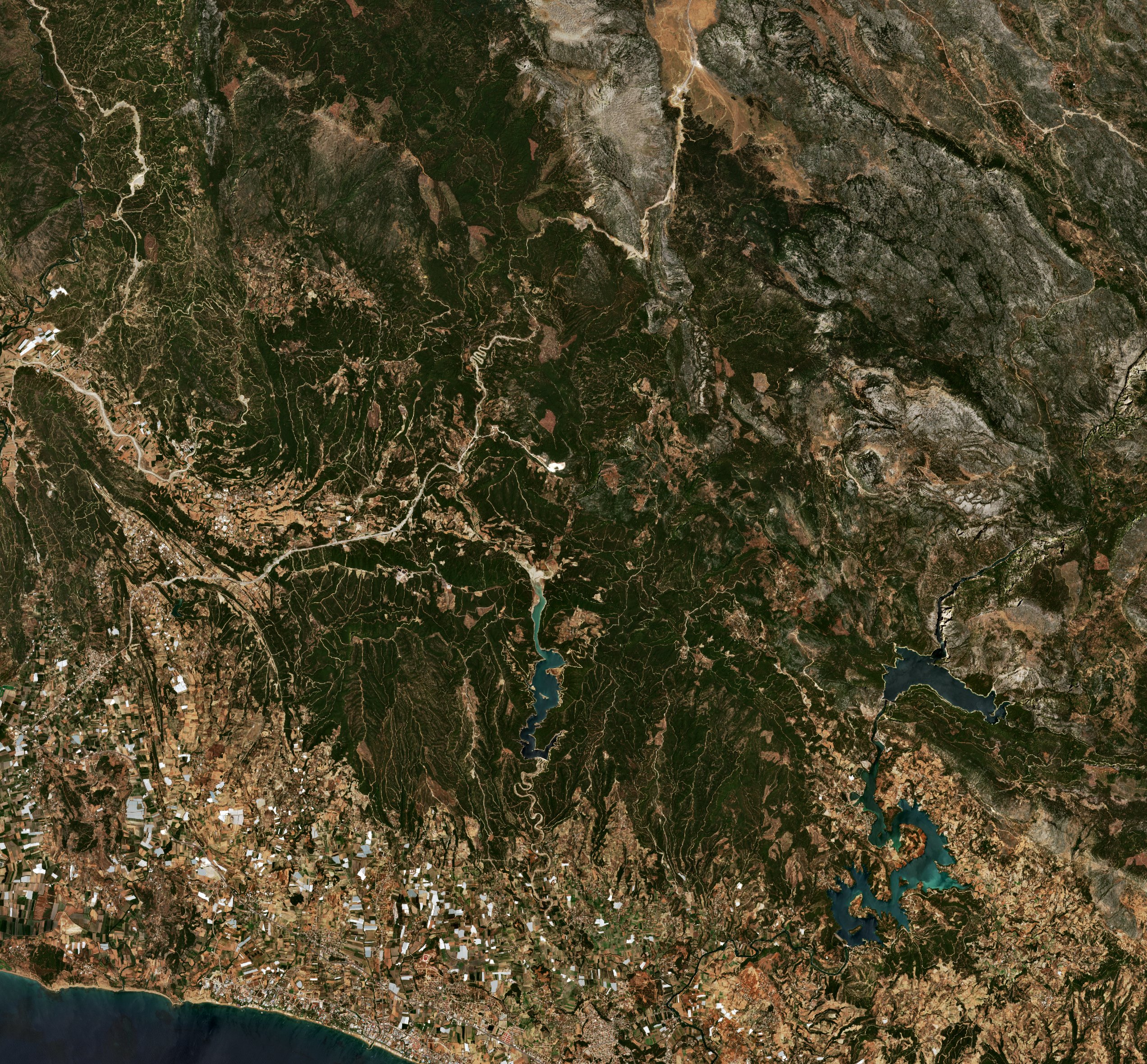 The area before the fire, July 15, 2021