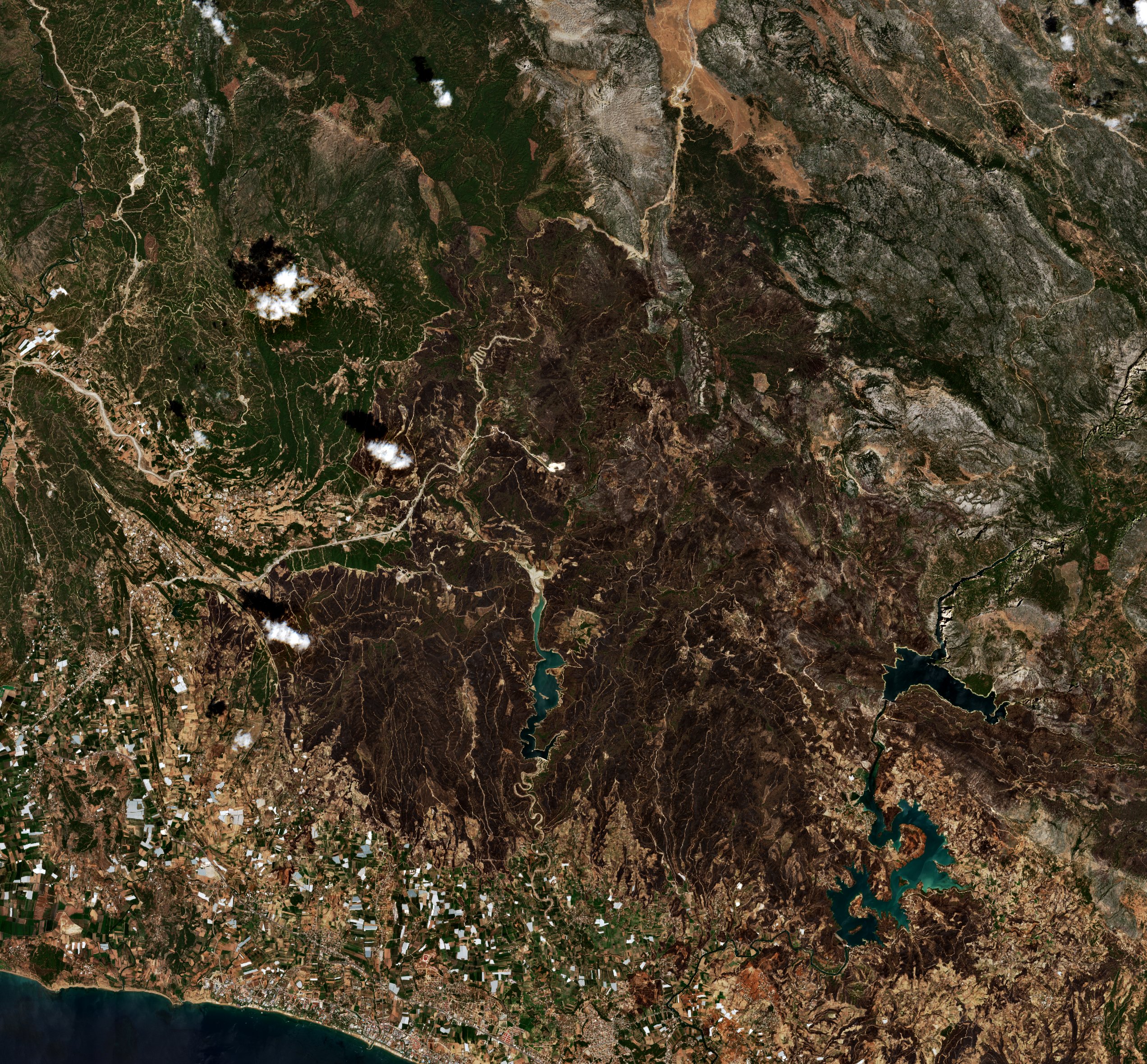 The area after the fire, August 9, 2021