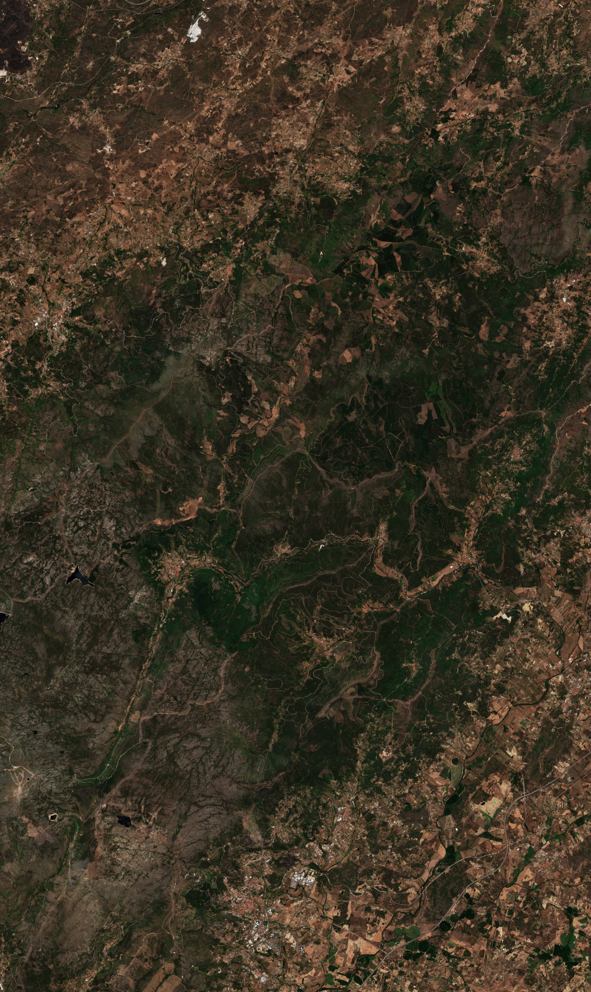 The area before the fire, July 23, 2022