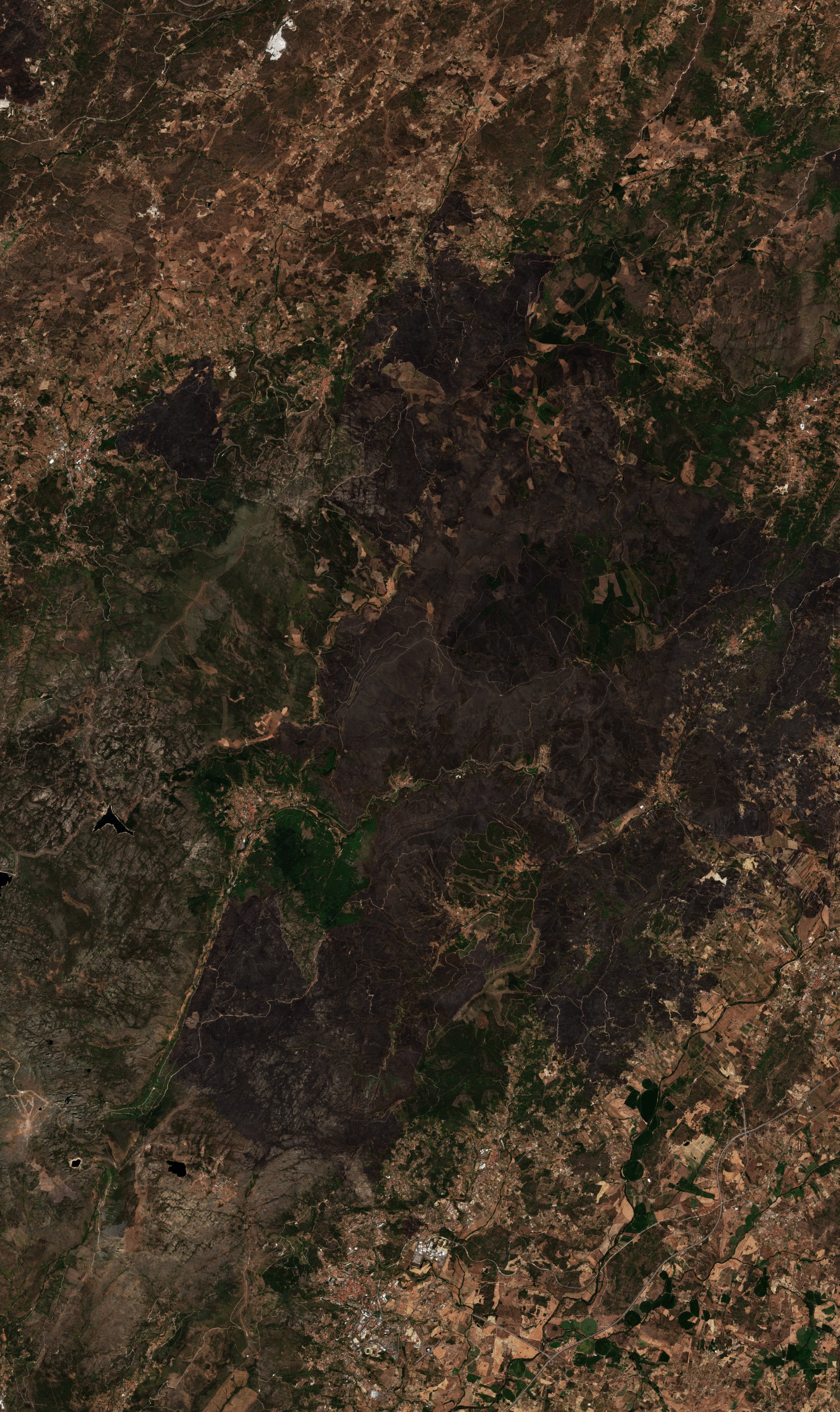 The area after the fire, August 22, 2022