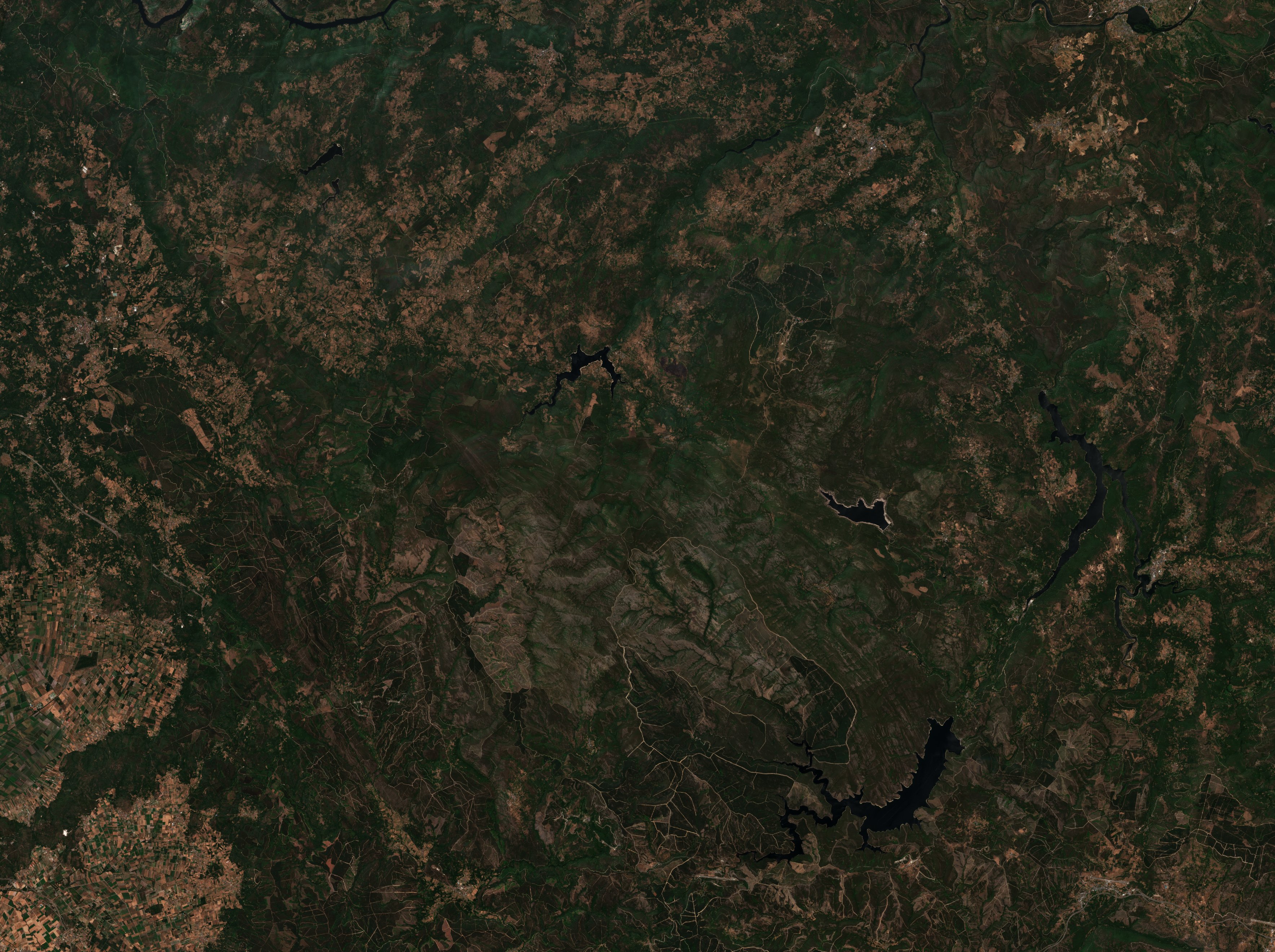The area before the fire, July 27, 2025