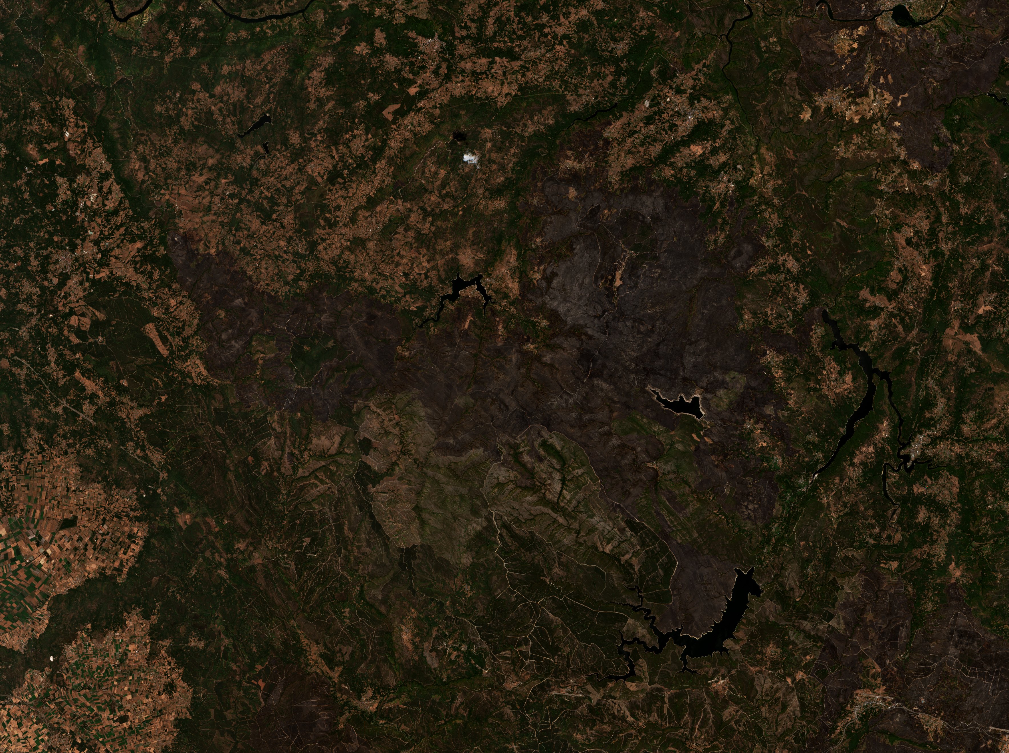 The area after the fire, August 23, 2025