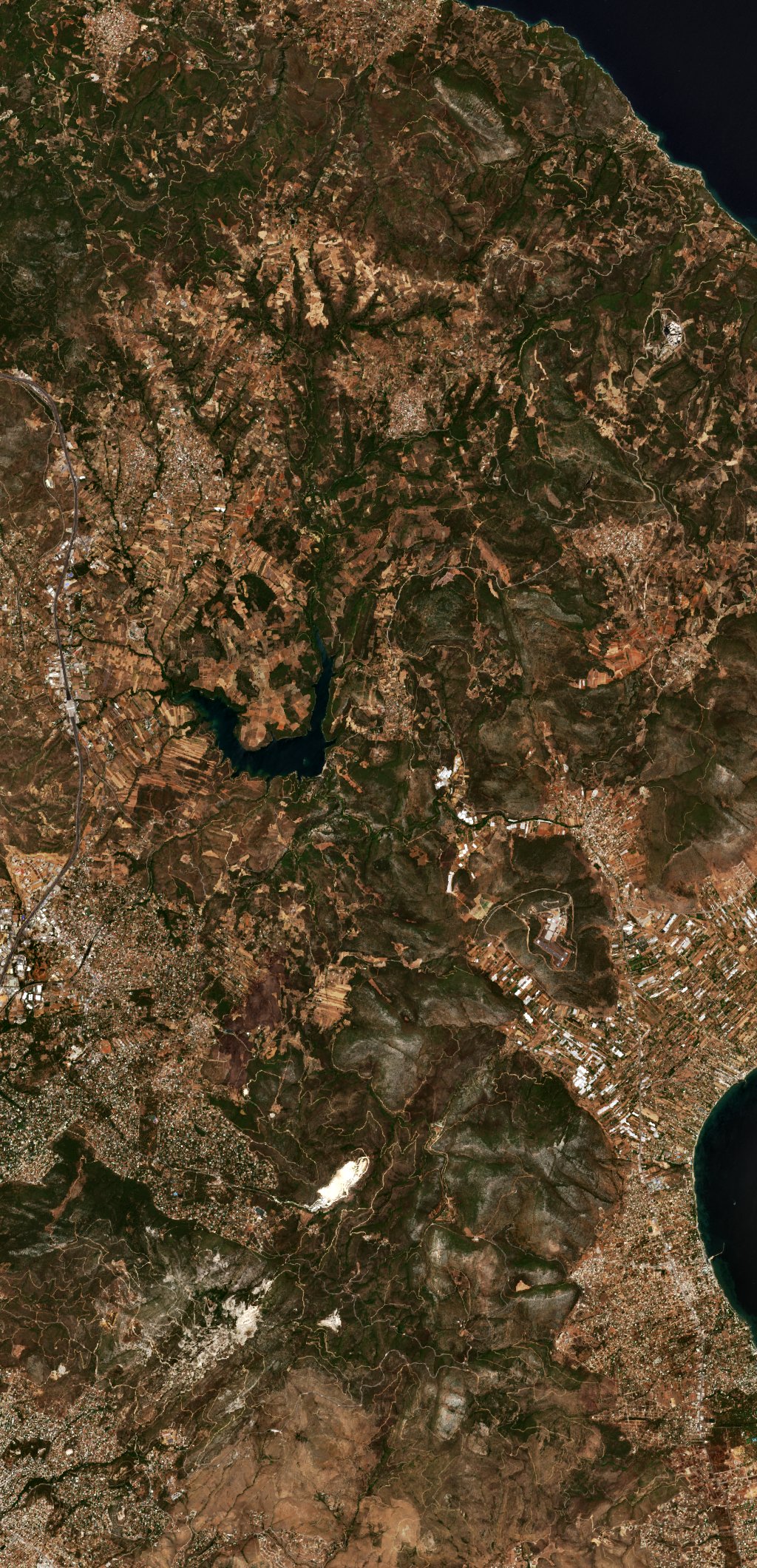 Sentinel-2 images