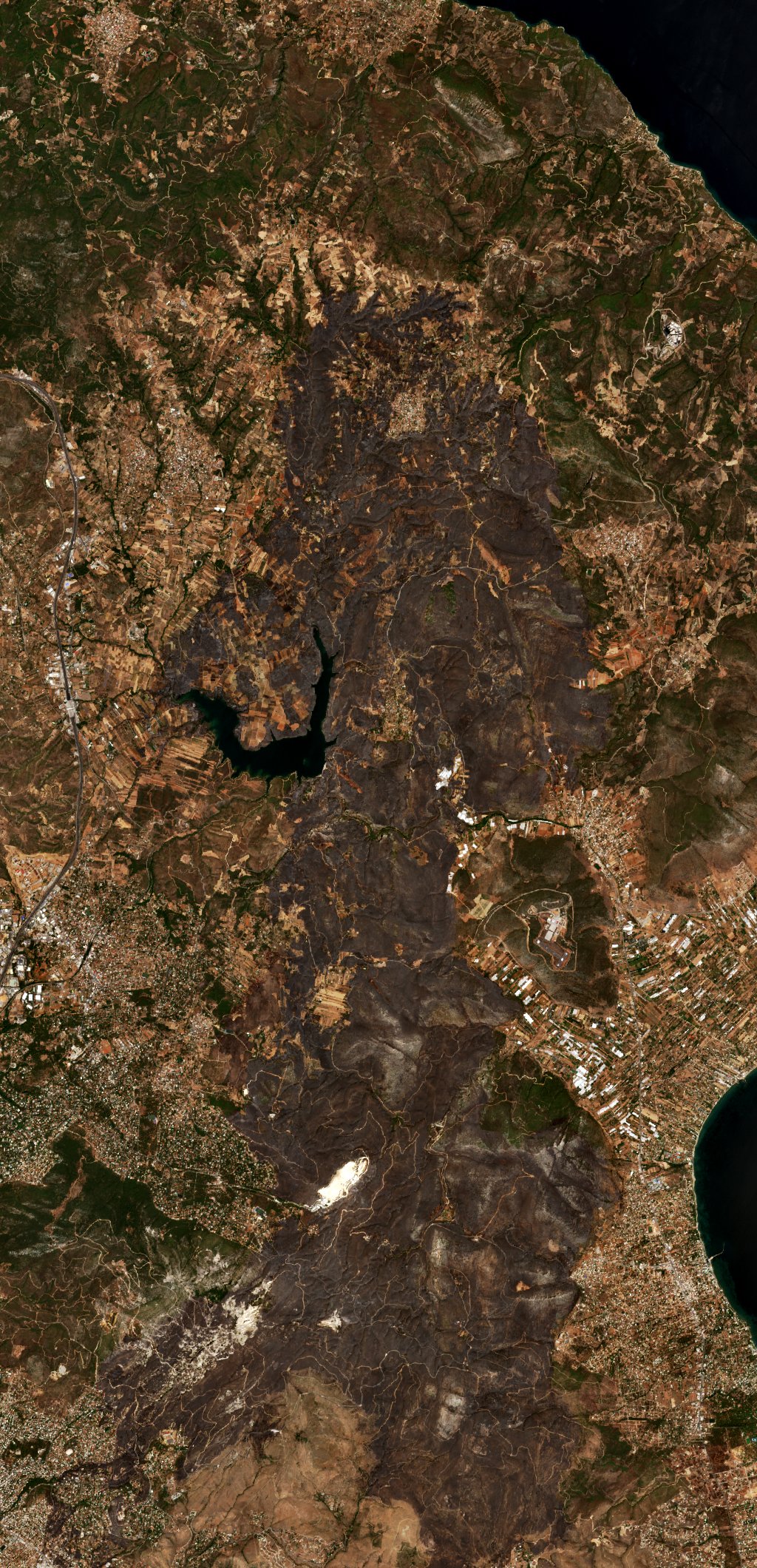The area after the fire, August 17, 2024