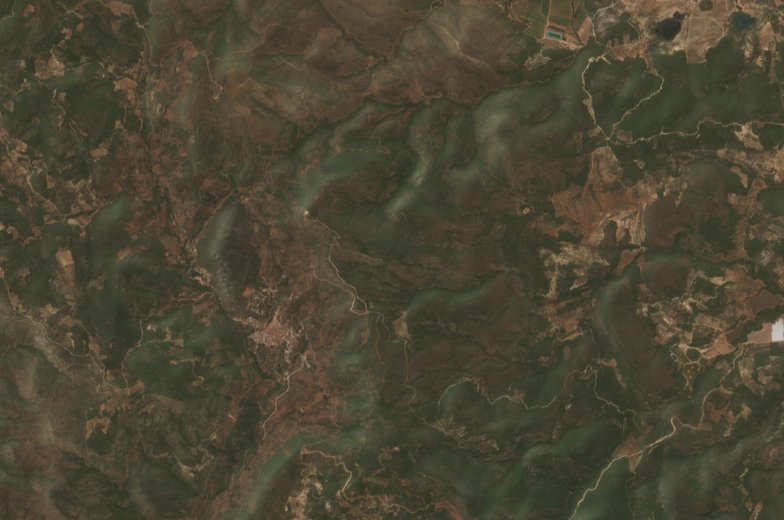 Sentinel-2 images