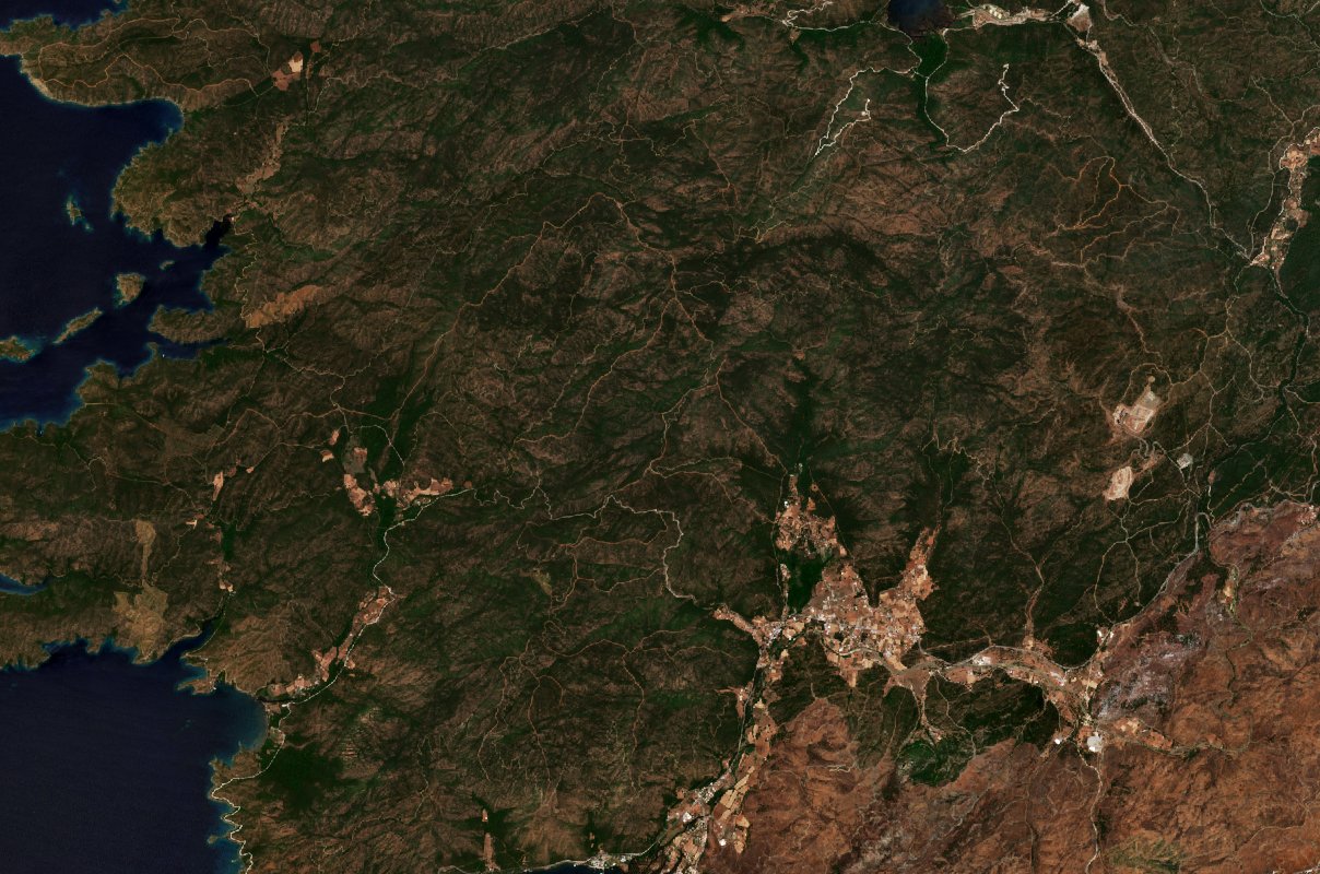 The area before the fire, June 8, 2022