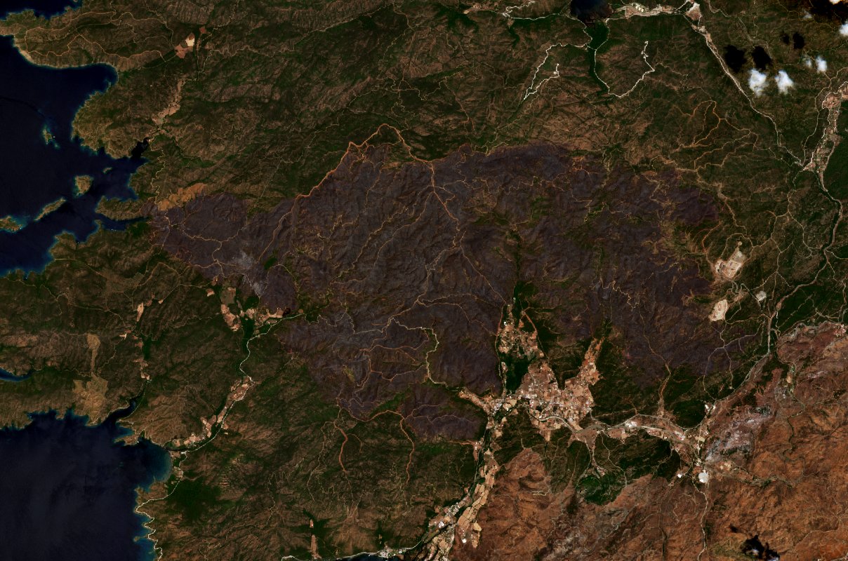 The area after the fire, June 28, 2022