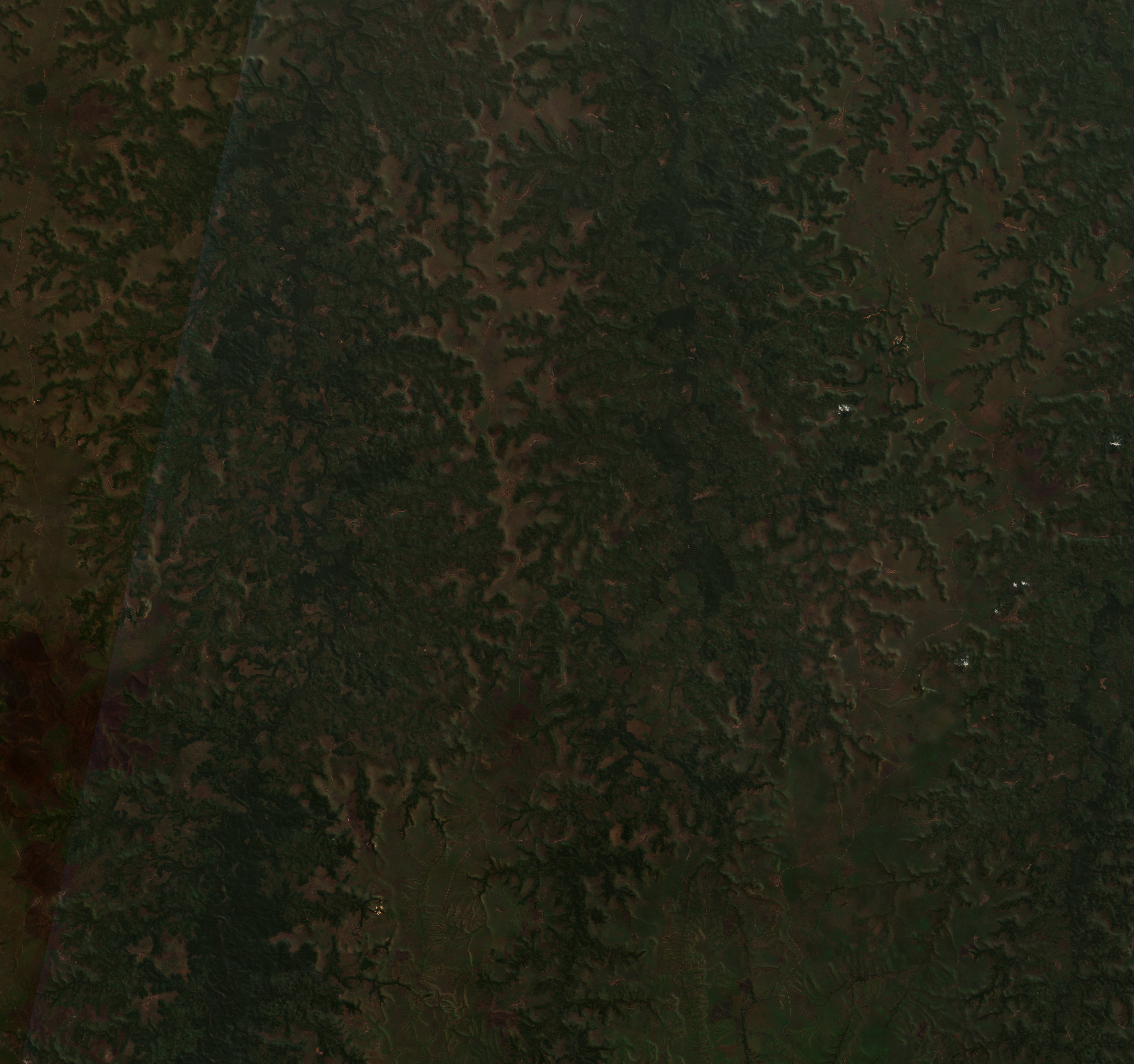 Sentinel-2 images