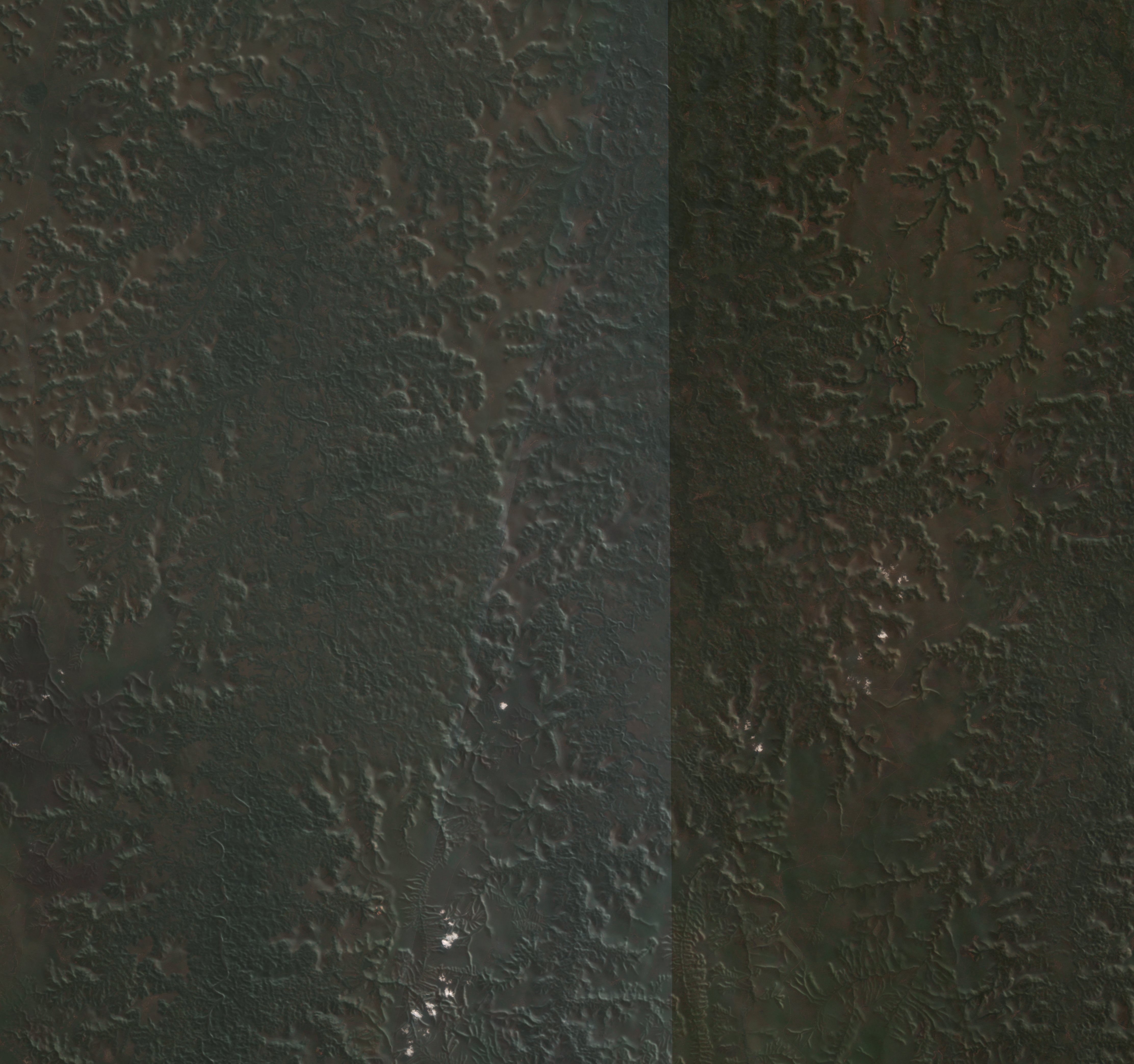 The area before the fire, August 6, 2026