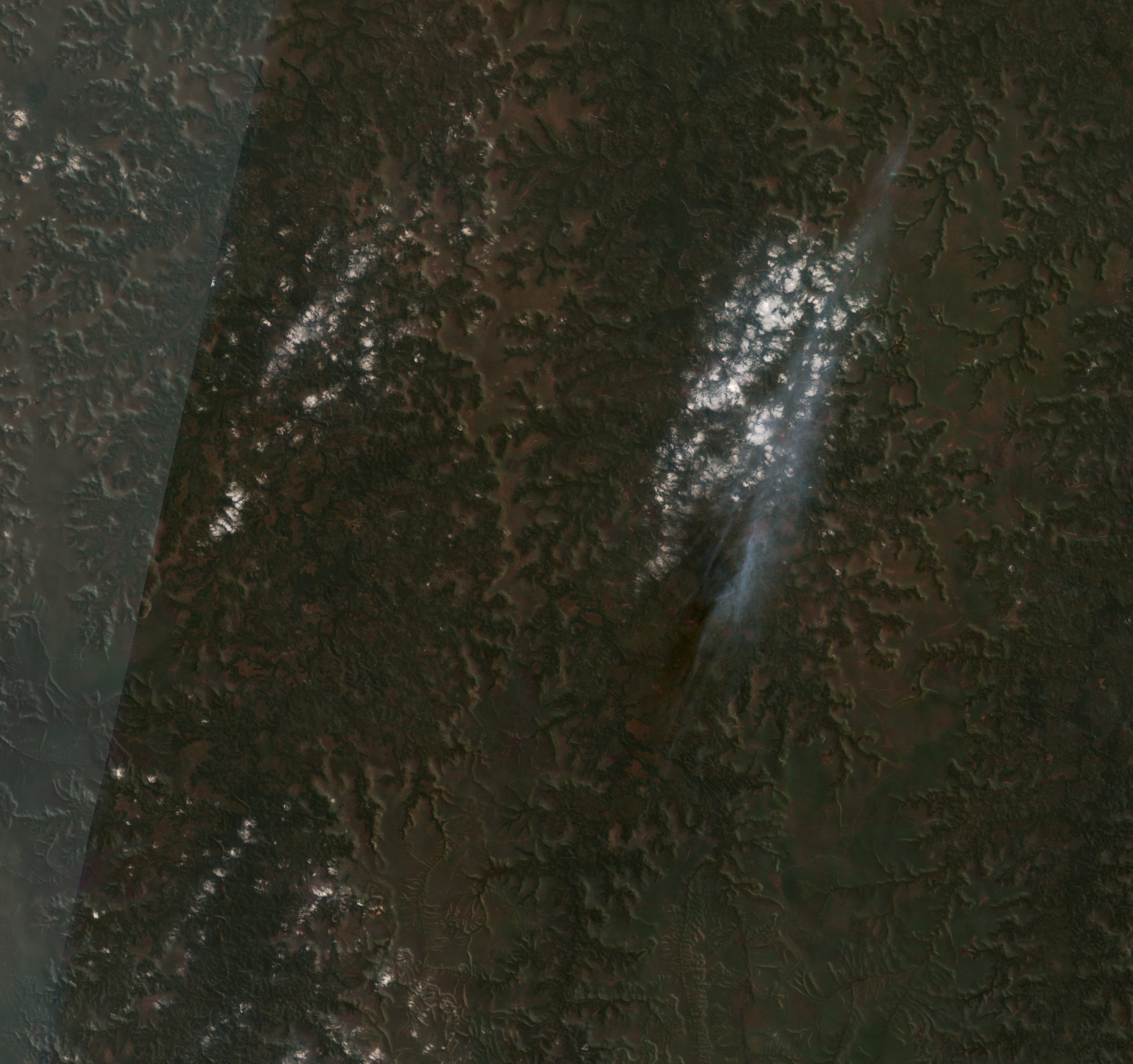 The area after the fire, August 16, 2026