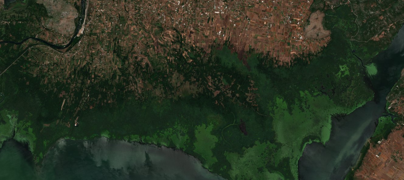 Sentinel-2 images