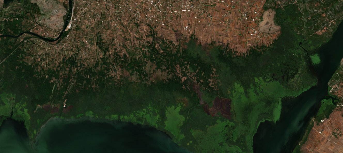 The area before the fire, August 15, 2026