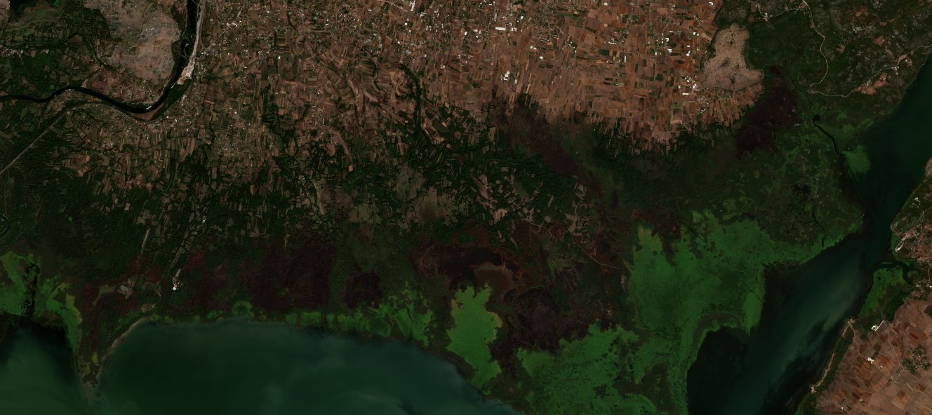 The area after the fire, September 27, 2026