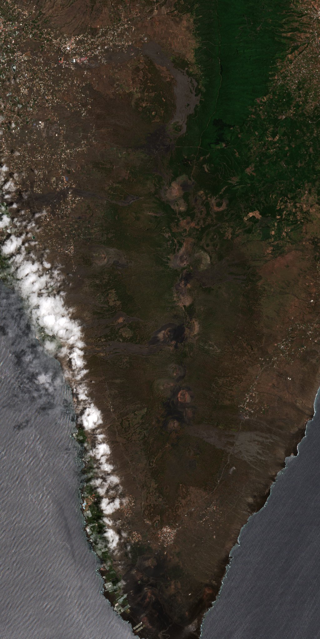 The area before the fire, July 18, 2016