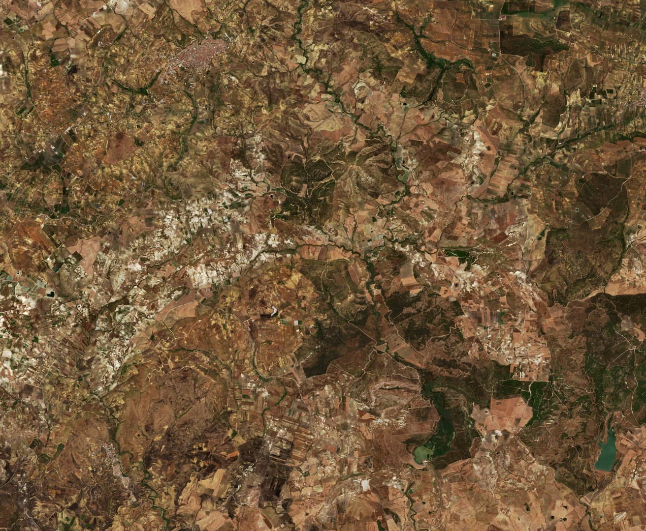 Sentinel-2 images