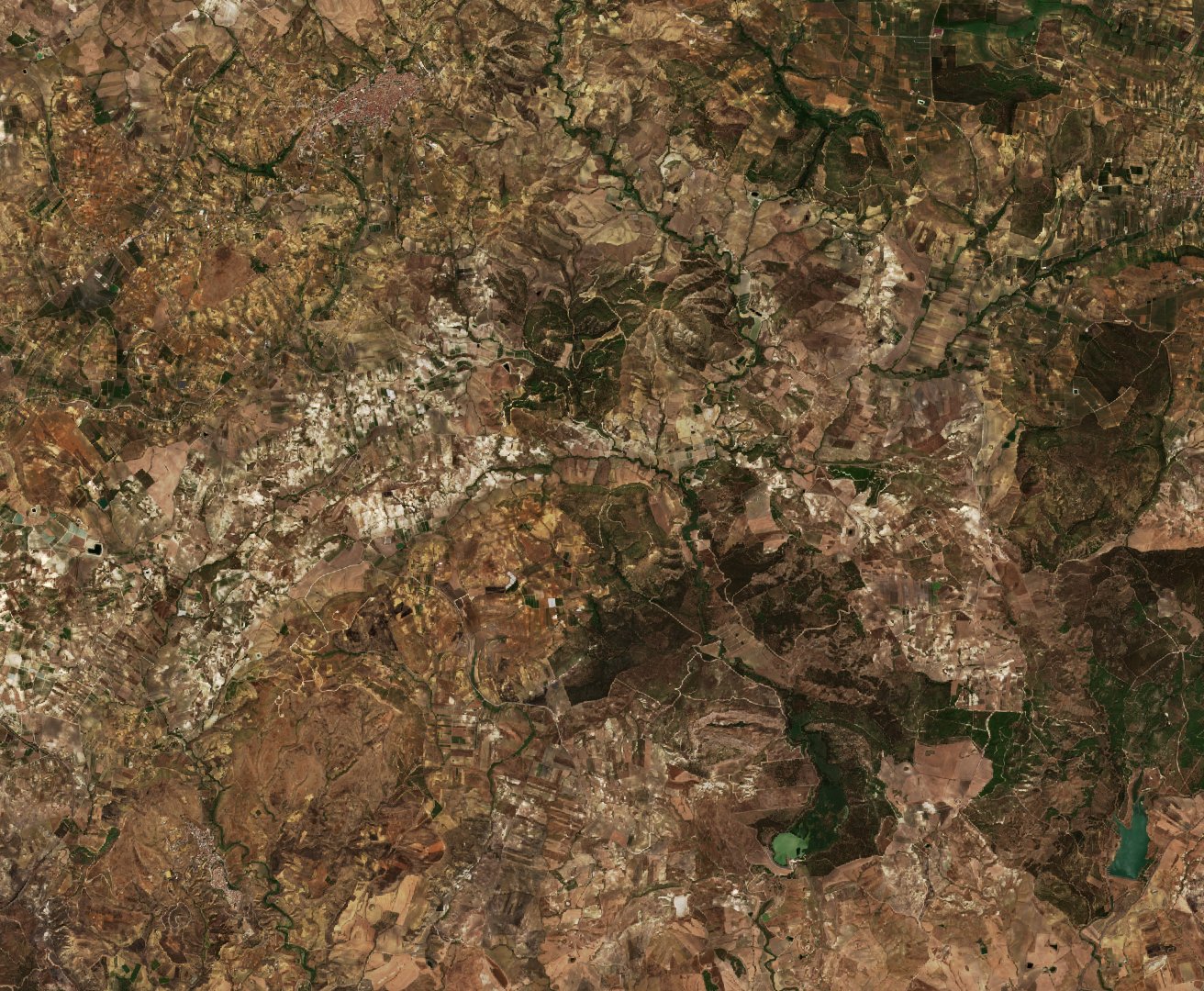 The area before the fire, August 21, 2026