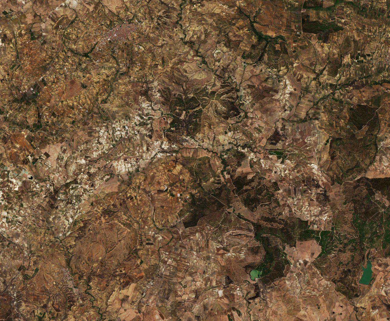The area after the fire, September 8, 2026