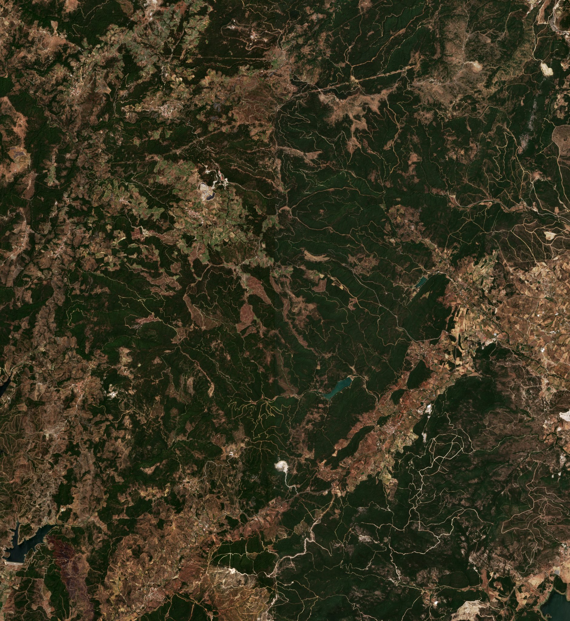 The area before the fire, August 6, 2019