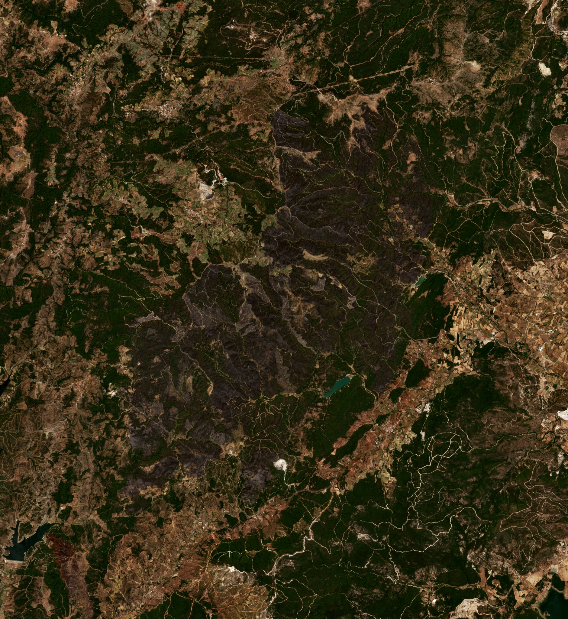 The area after the fire, August 21, 2019