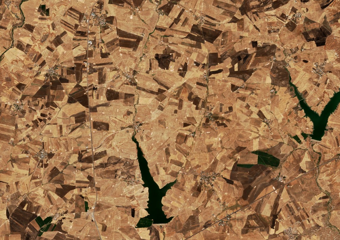 The area before the fire, September 17, 2026