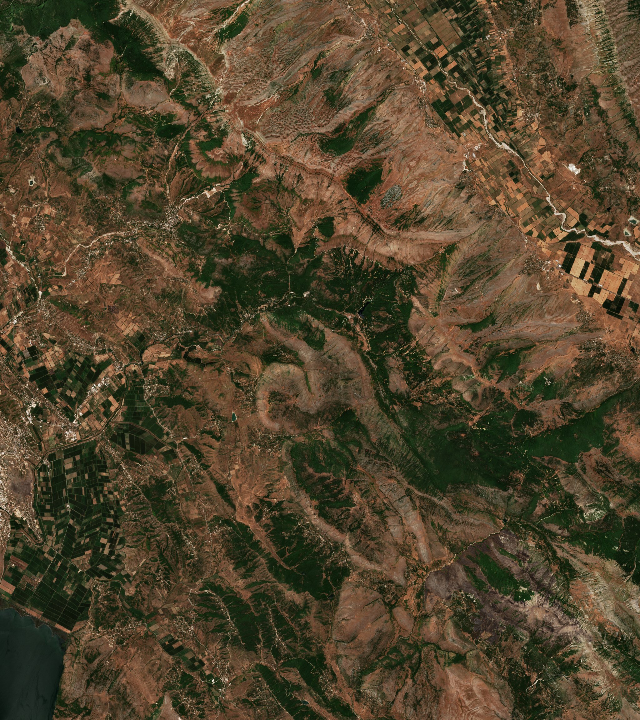 The area before the fire, July 21, 2025