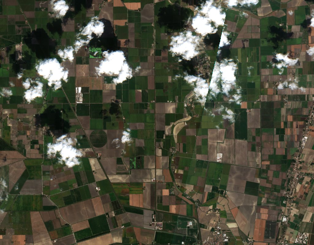 The area before the fire, September 6, 2026