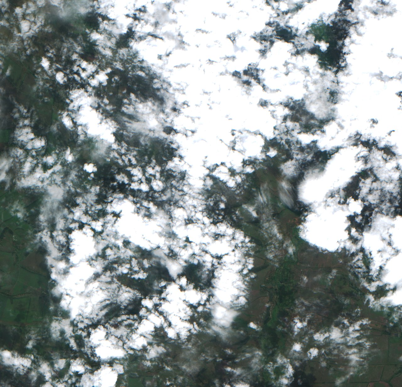 Sentinel-2 images