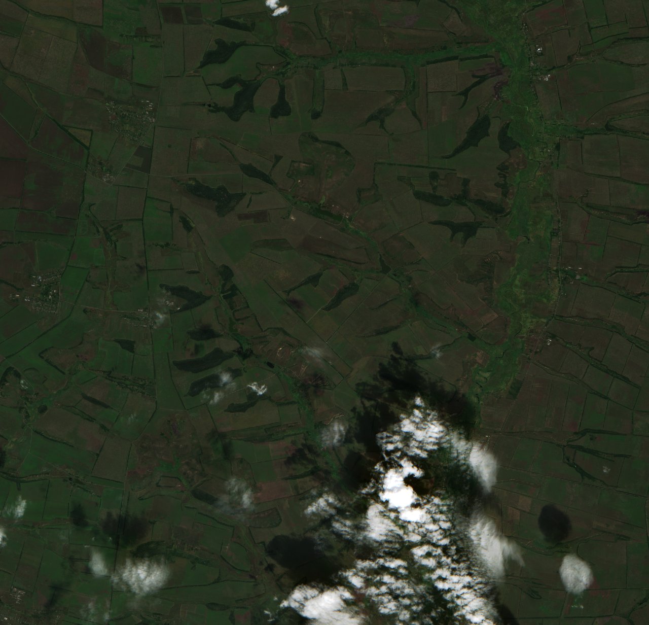 The area before the fire, August 5, 2026