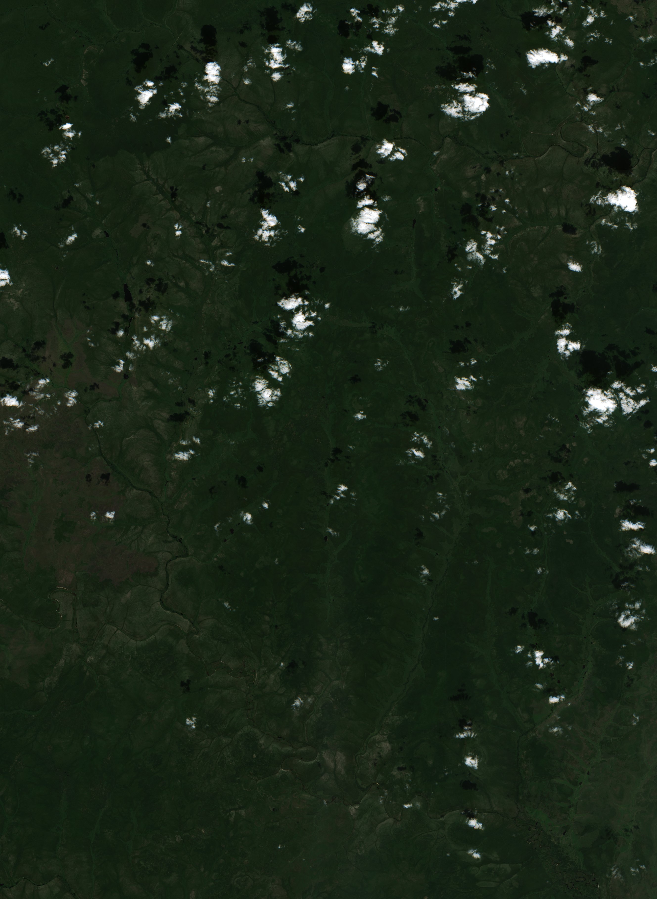 Sentinel-2 images