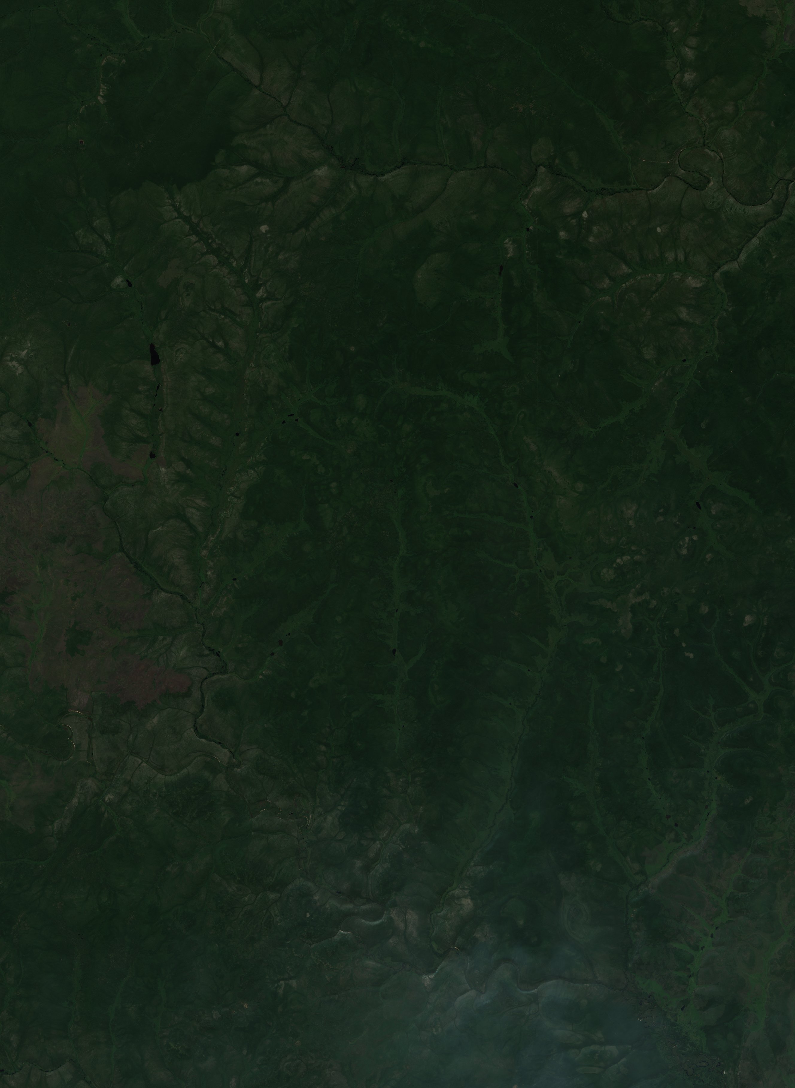 The area before the fire, July 27, 2026
