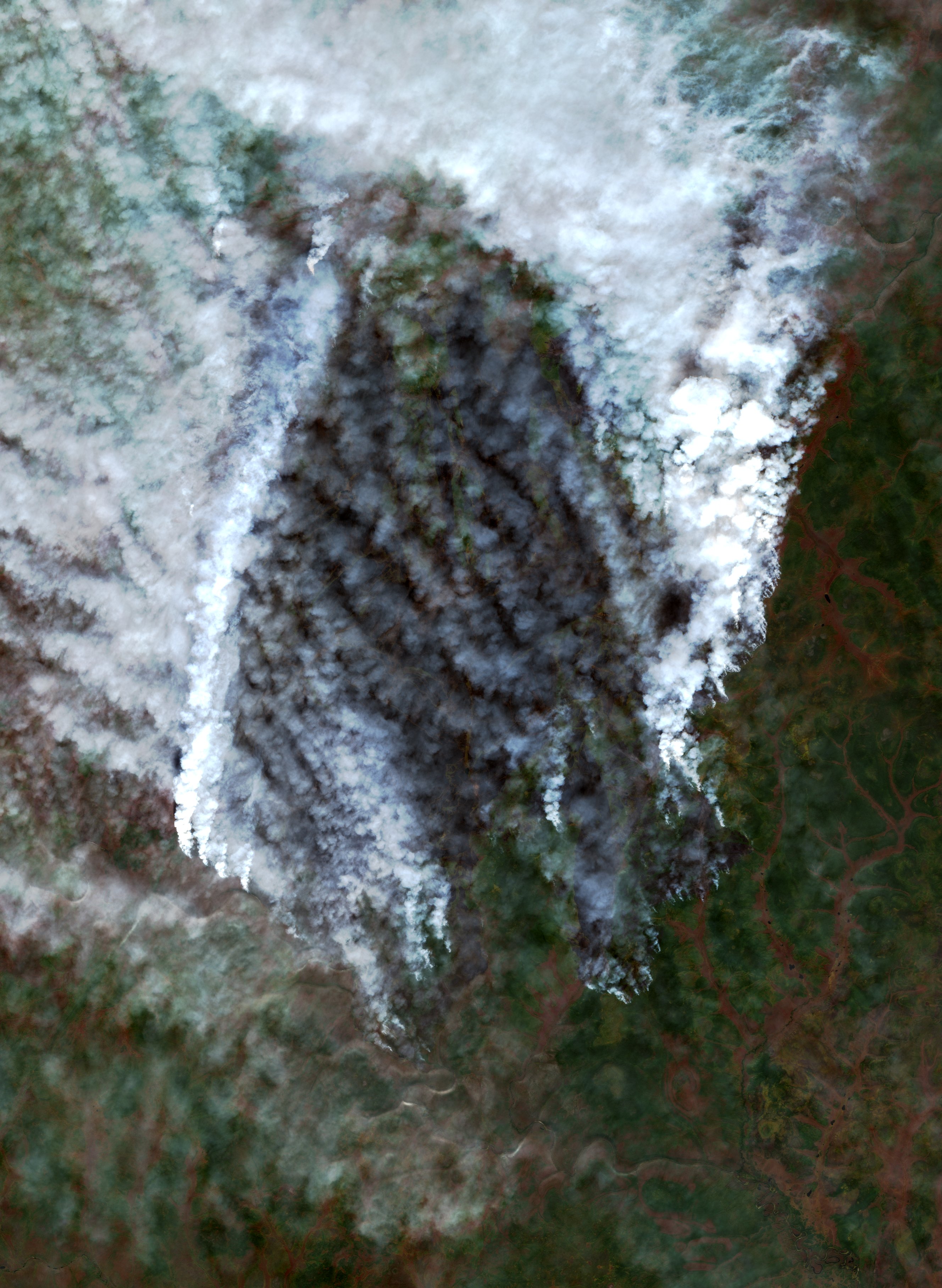 The area after the fire, August 29, 2026