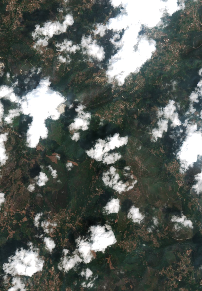 Sentinel-2 images