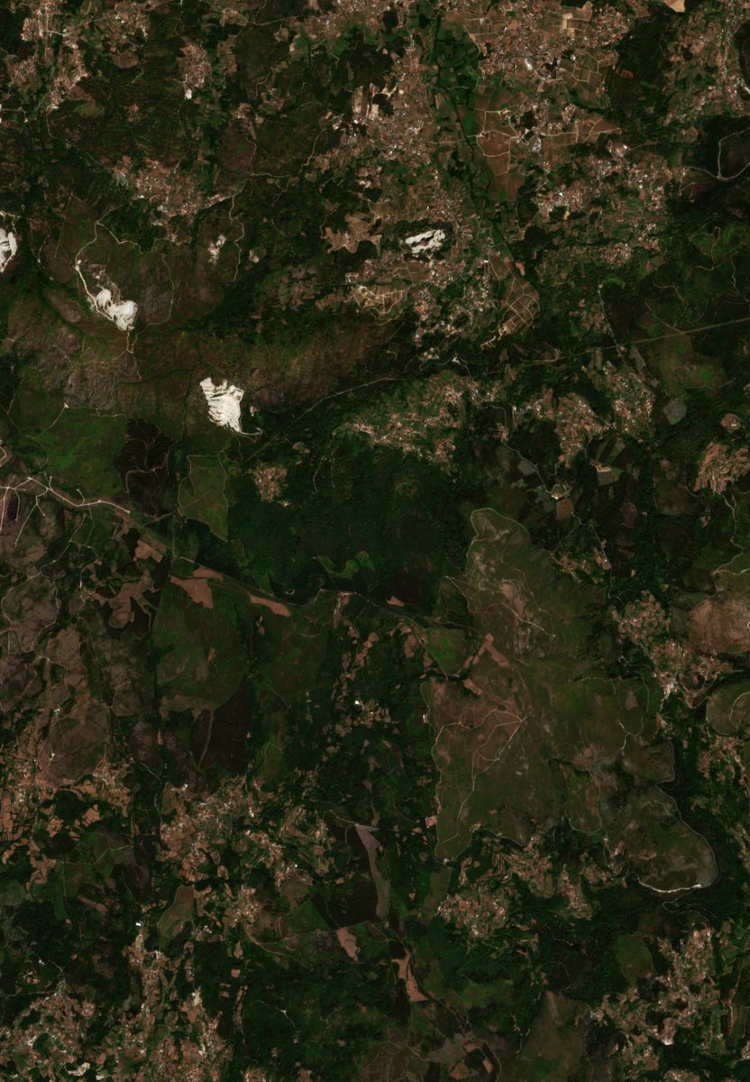 The area before the fire, August 6, 2026