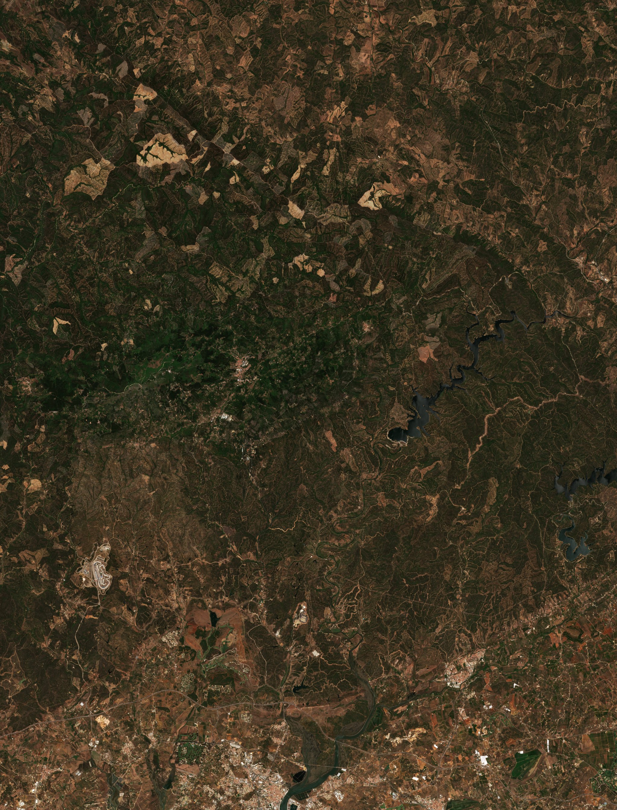 The area before the fire, July 19, 2018