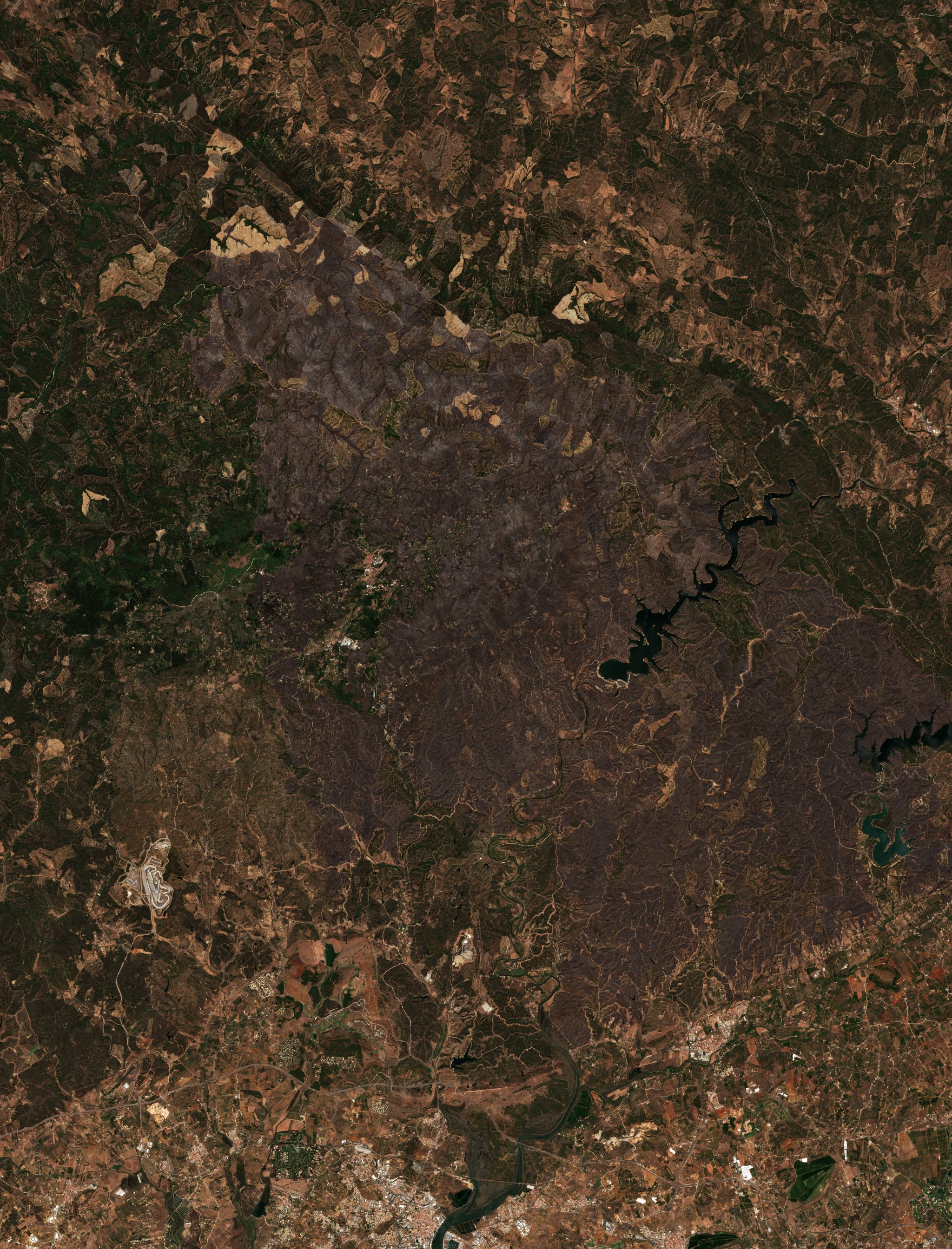 The area after the fire, August 13, 2018