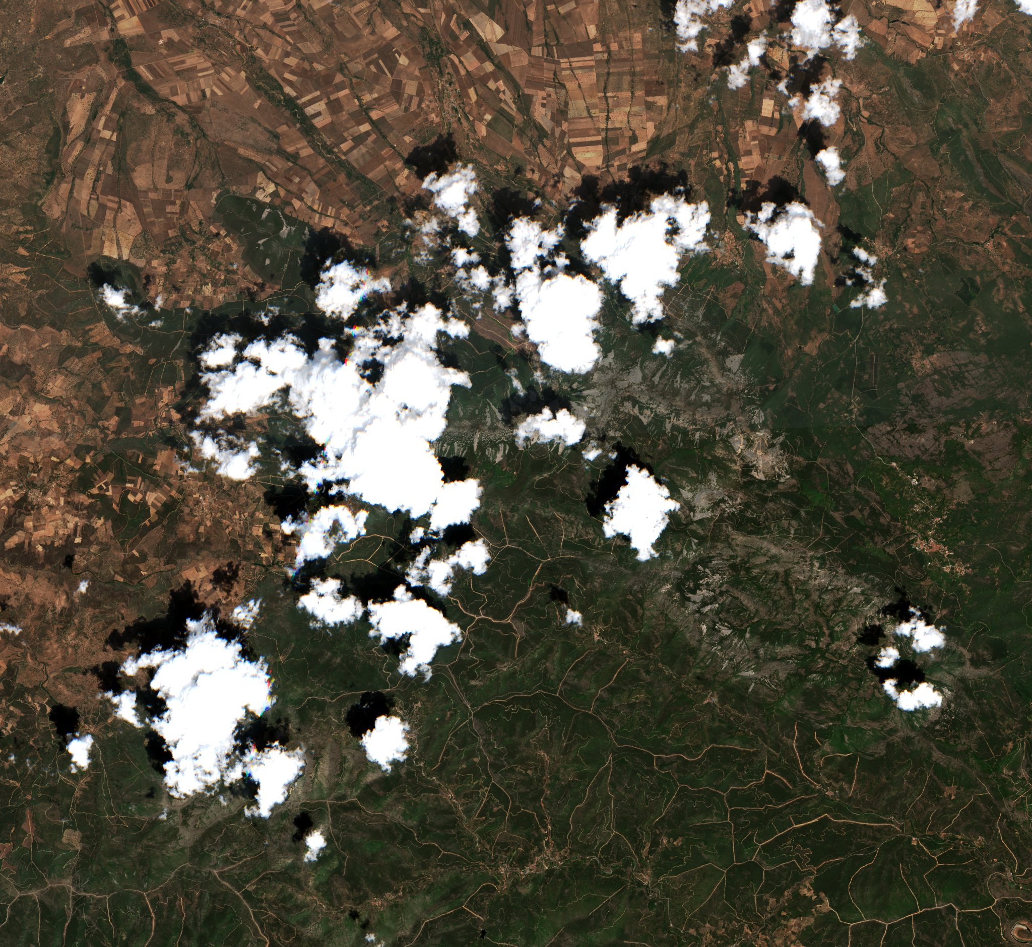 Sentinel-2 images