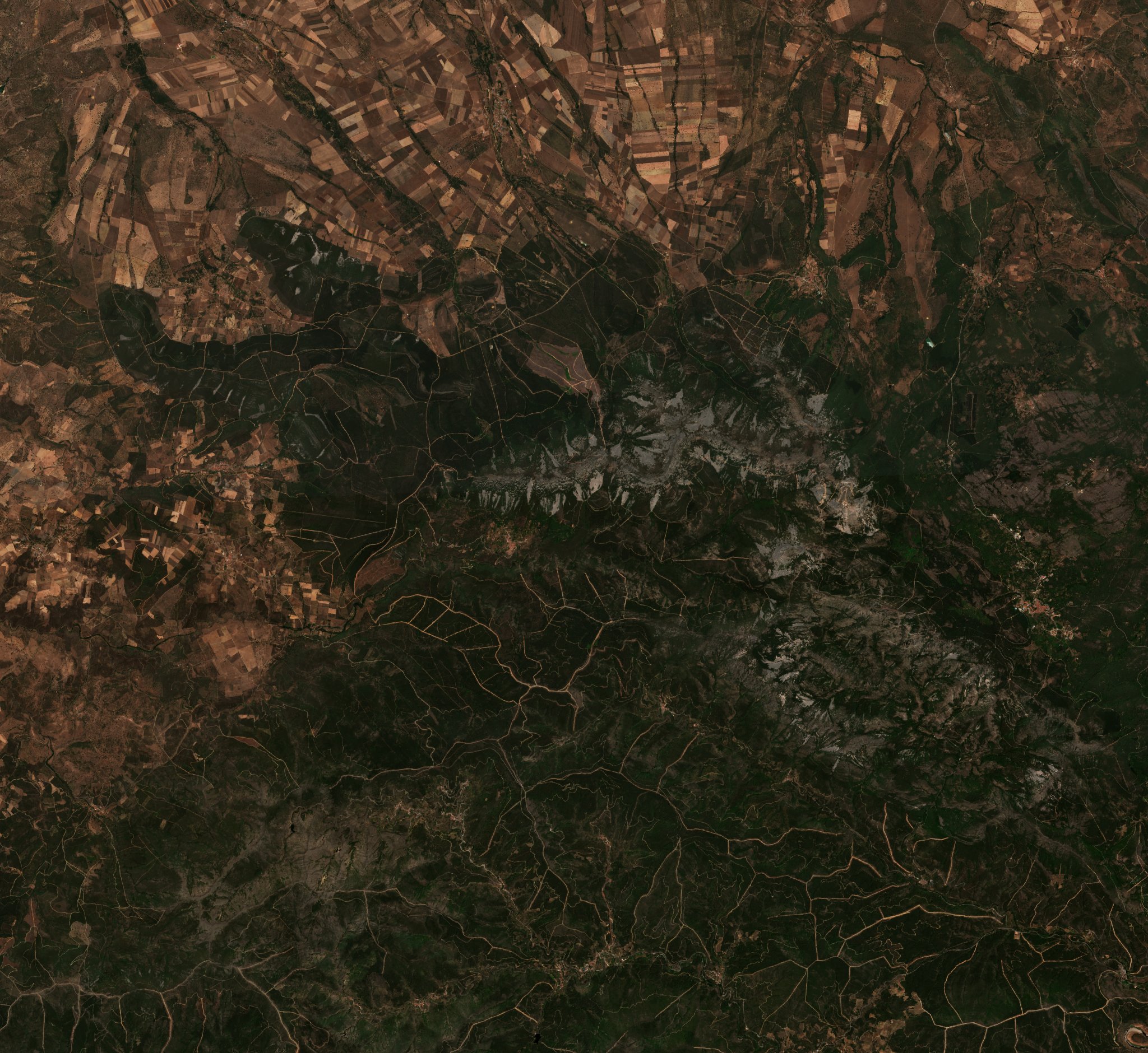 The area before the fire, July 8, 2022
