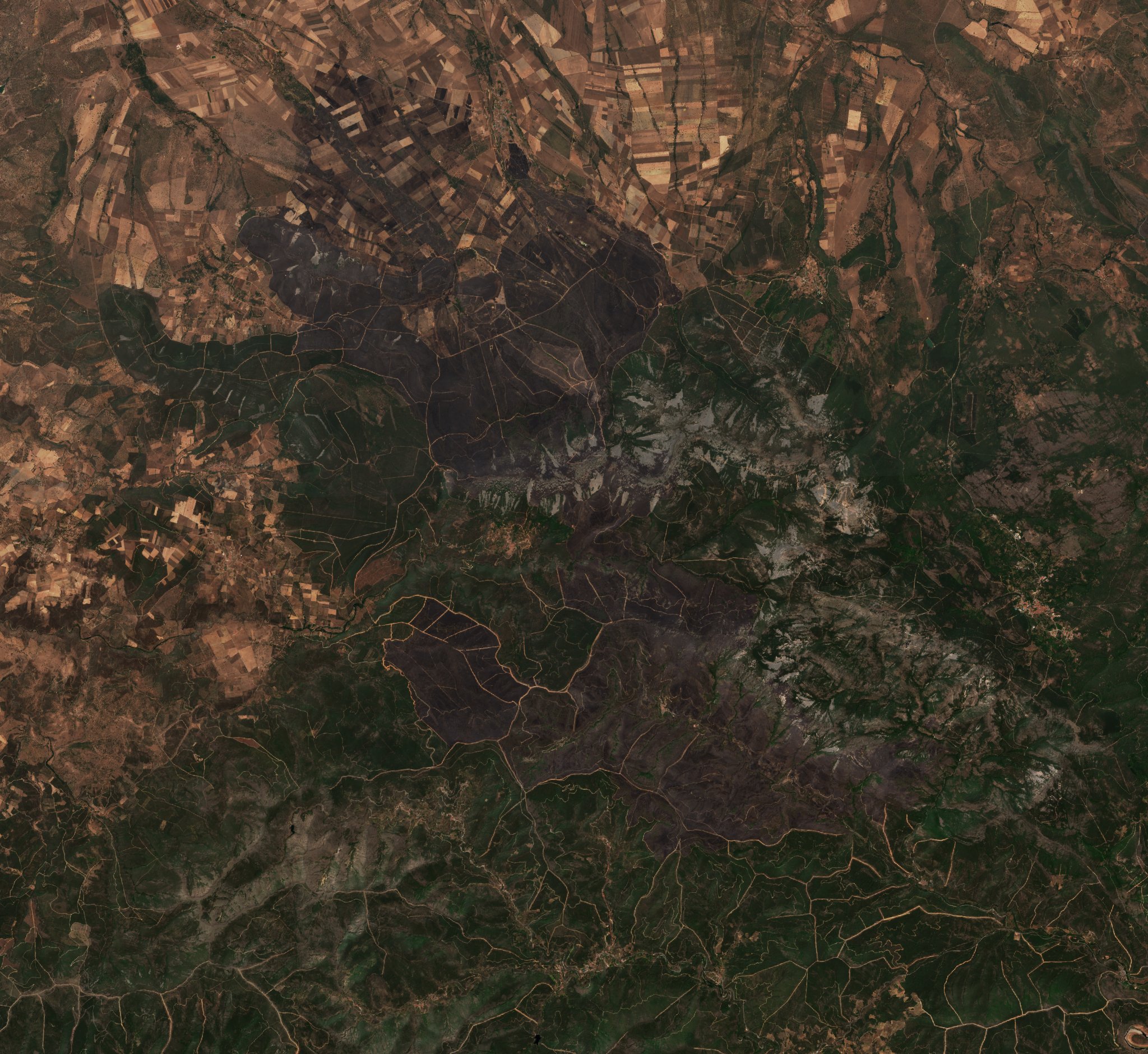 The area after the fire, July 20, 2022