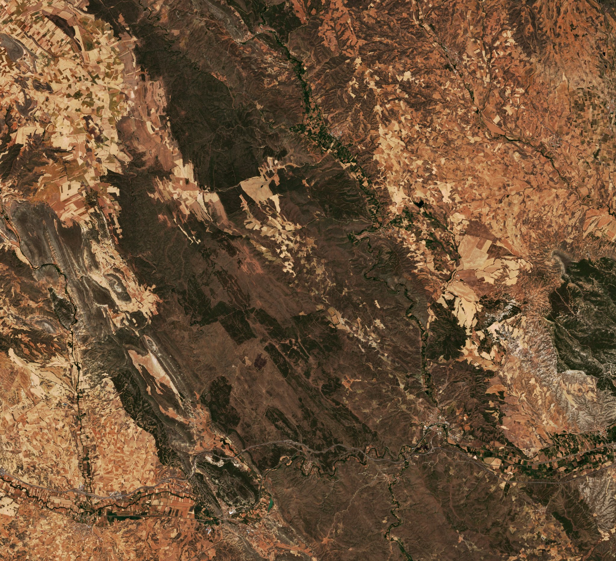 The area before the fire, July 7, 2022