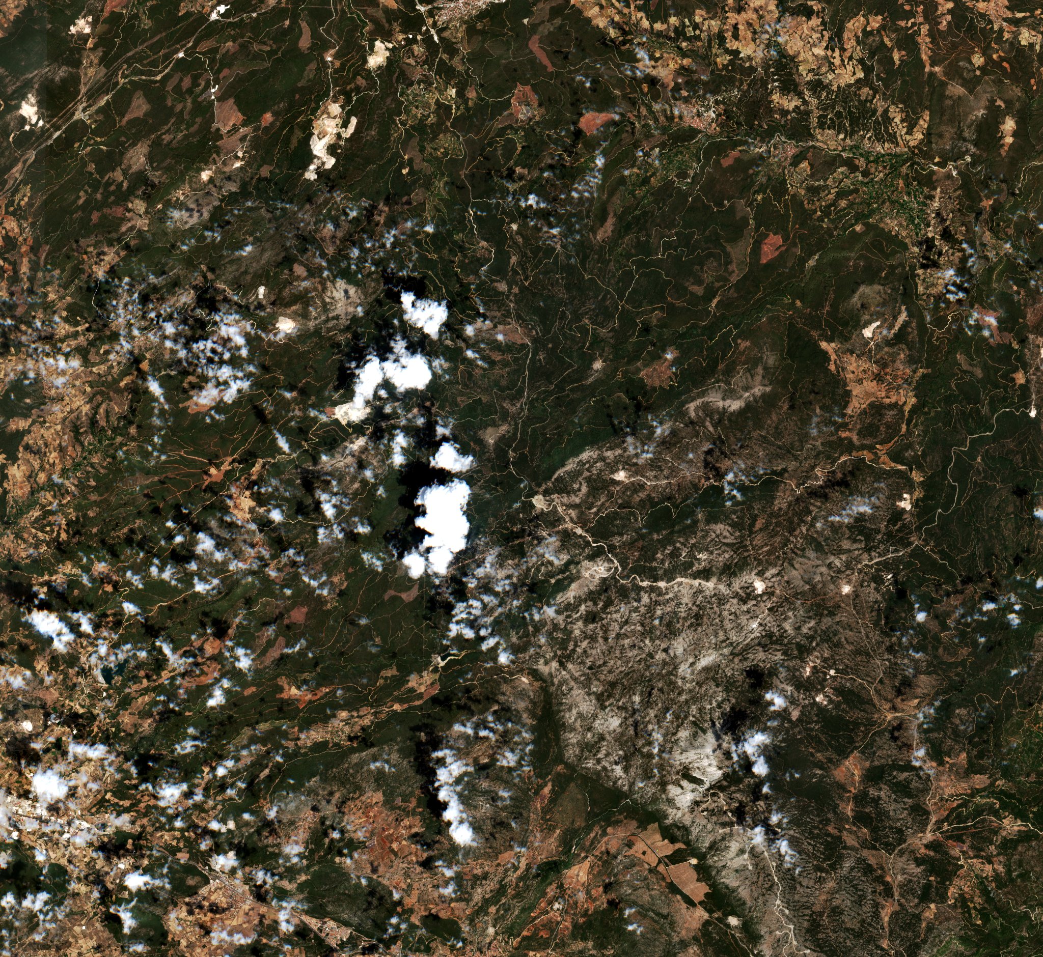 Sentinel-2 images