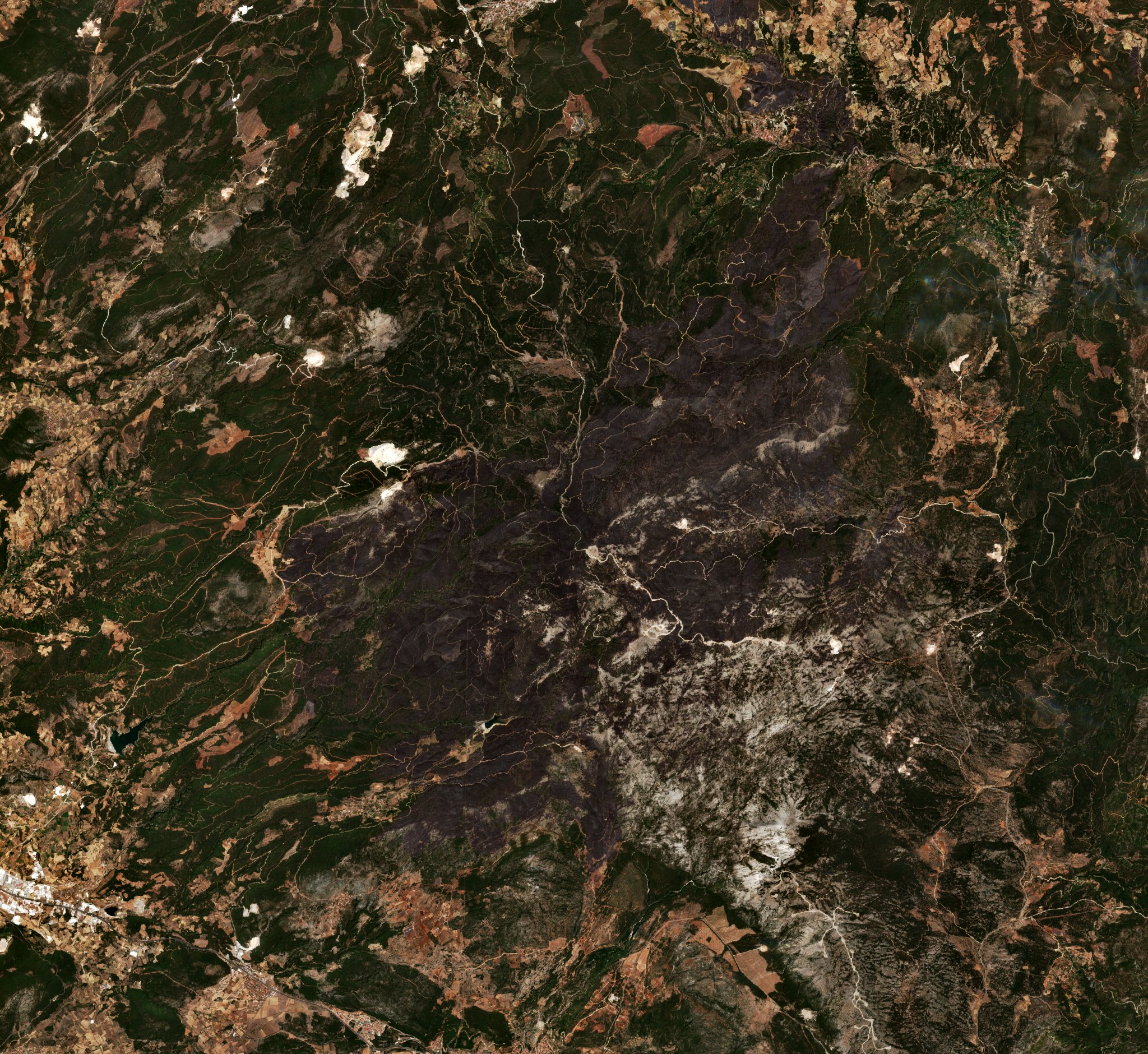 The area after the fire, August 12, 2021