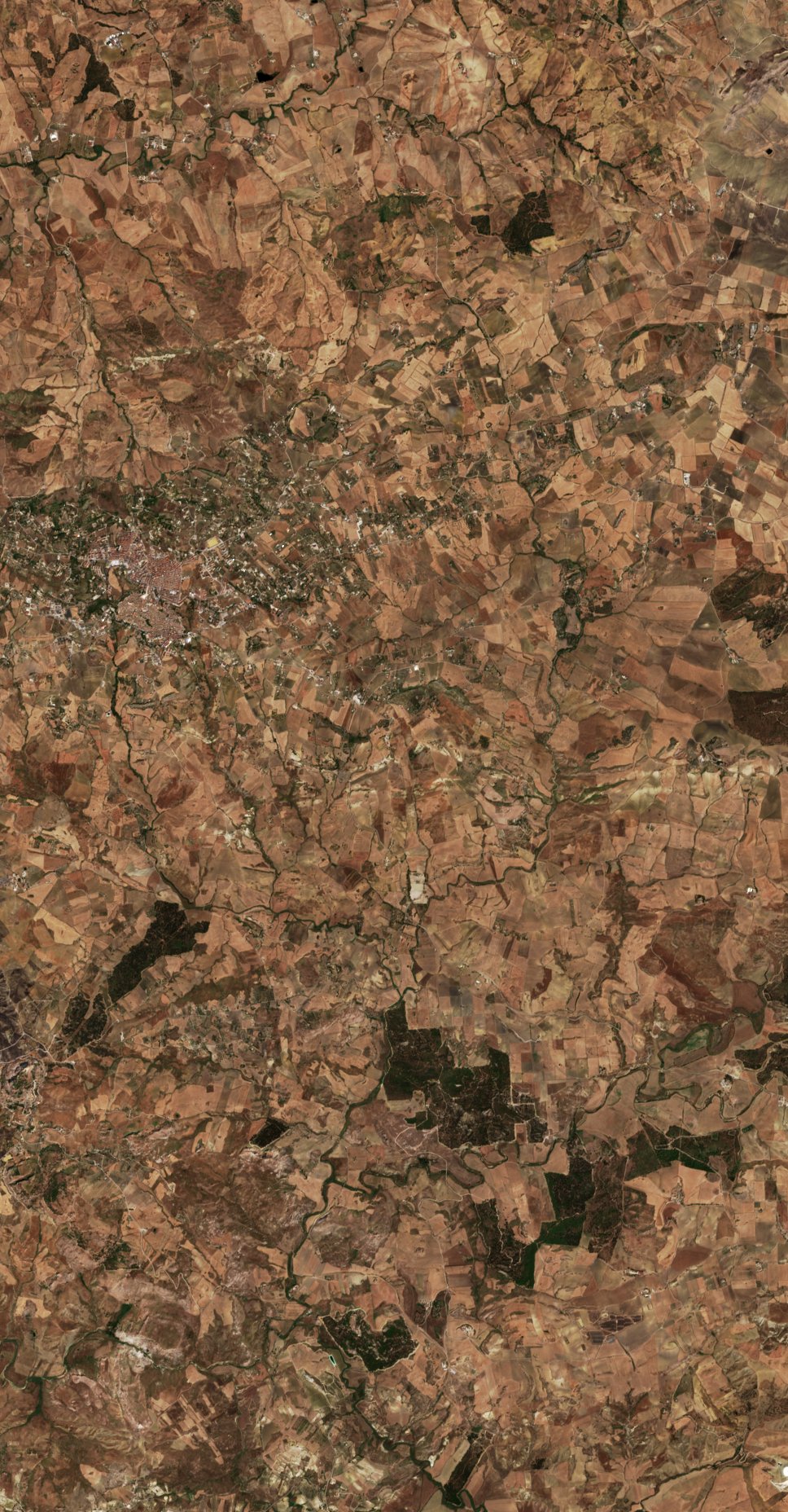 Sentinel-2 images