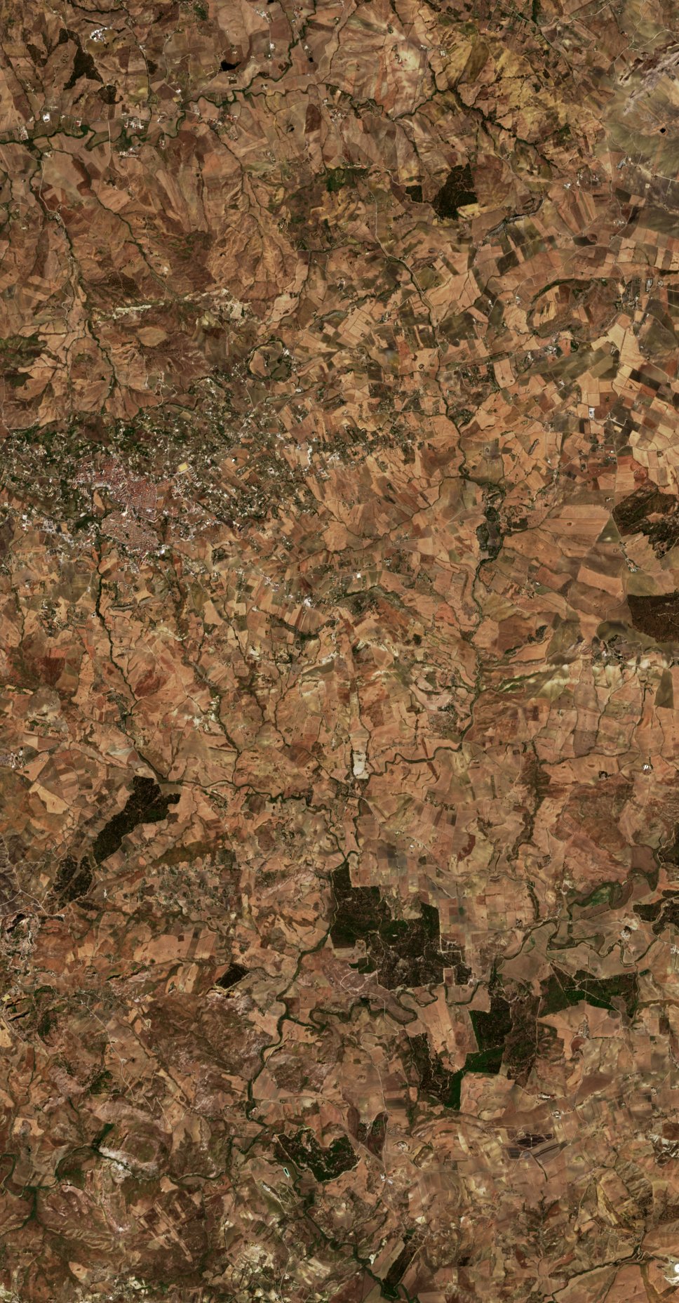 The area before the fire, August 19, 2026