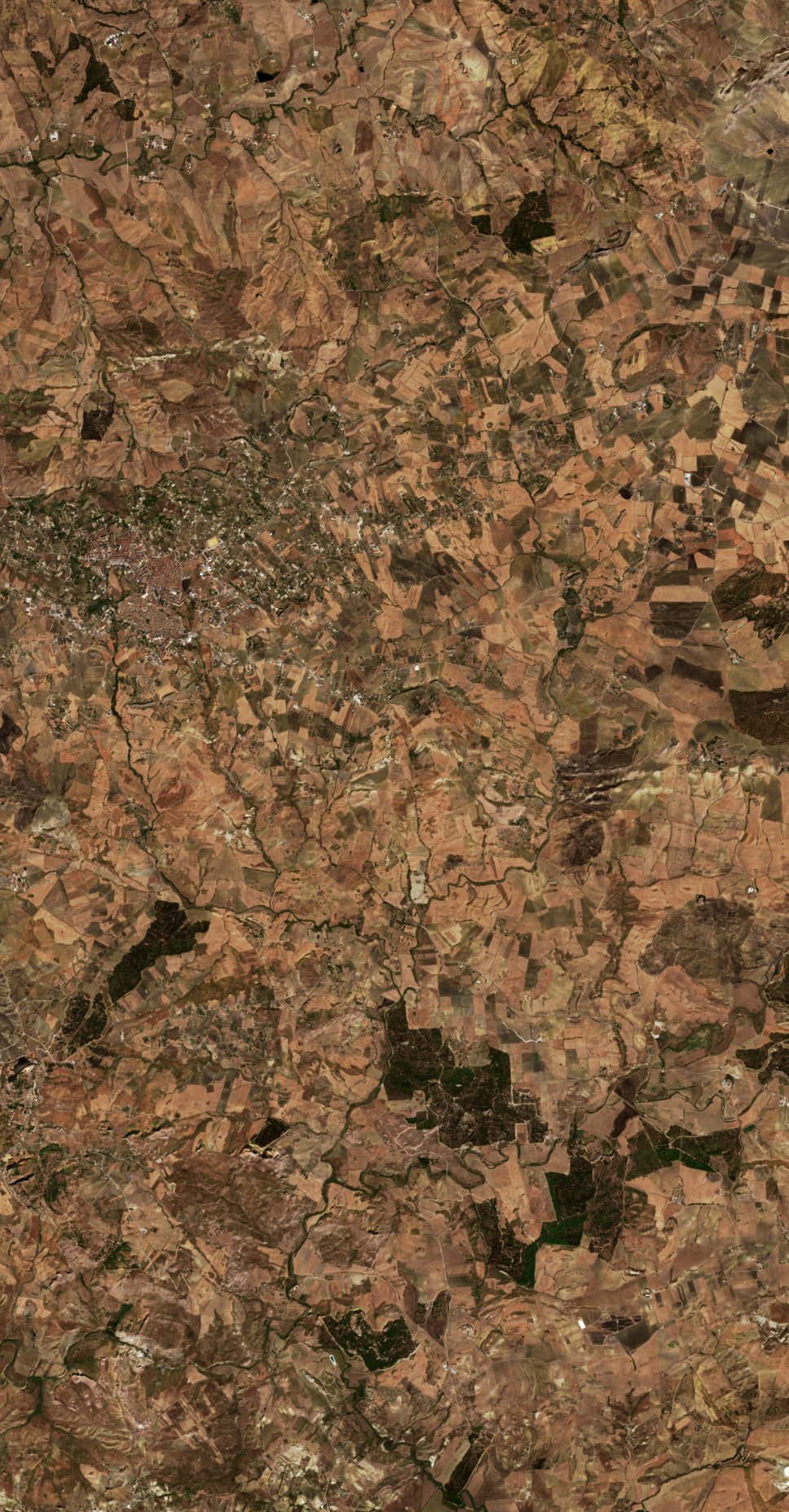 The area after the fire, September 10, 2026