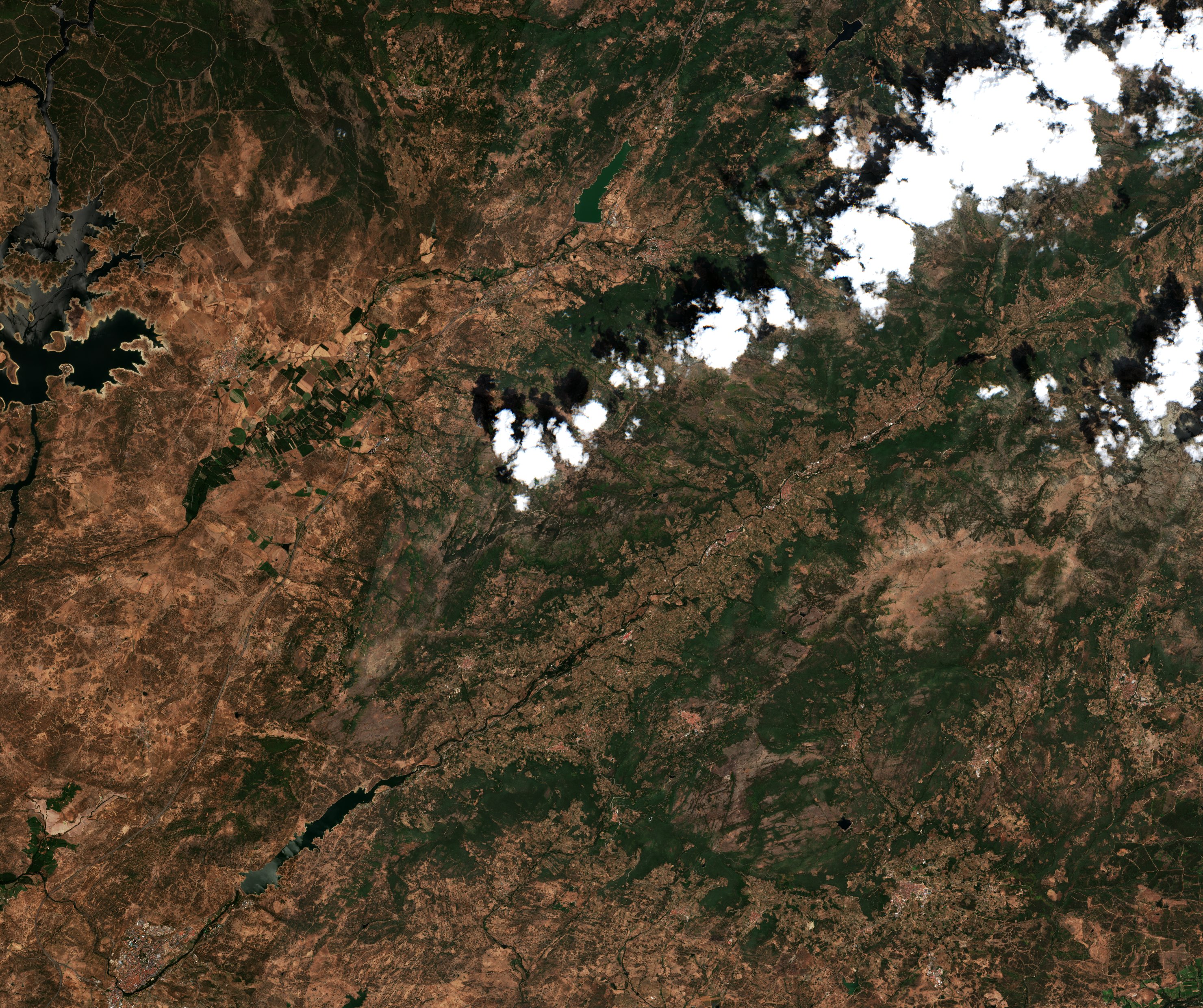 Sentinel-2 images