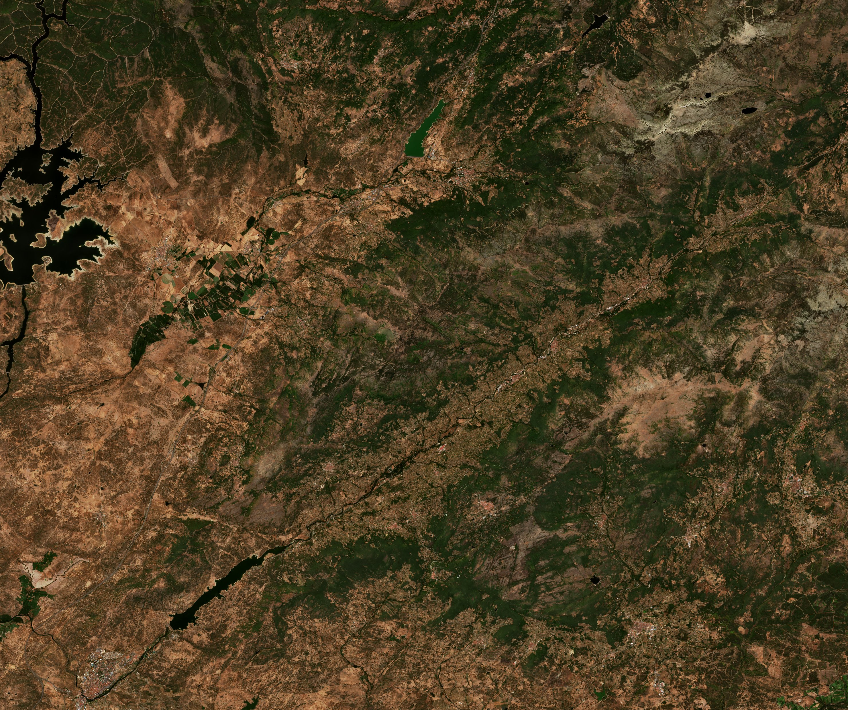 The area before the fire, August 8, 2025