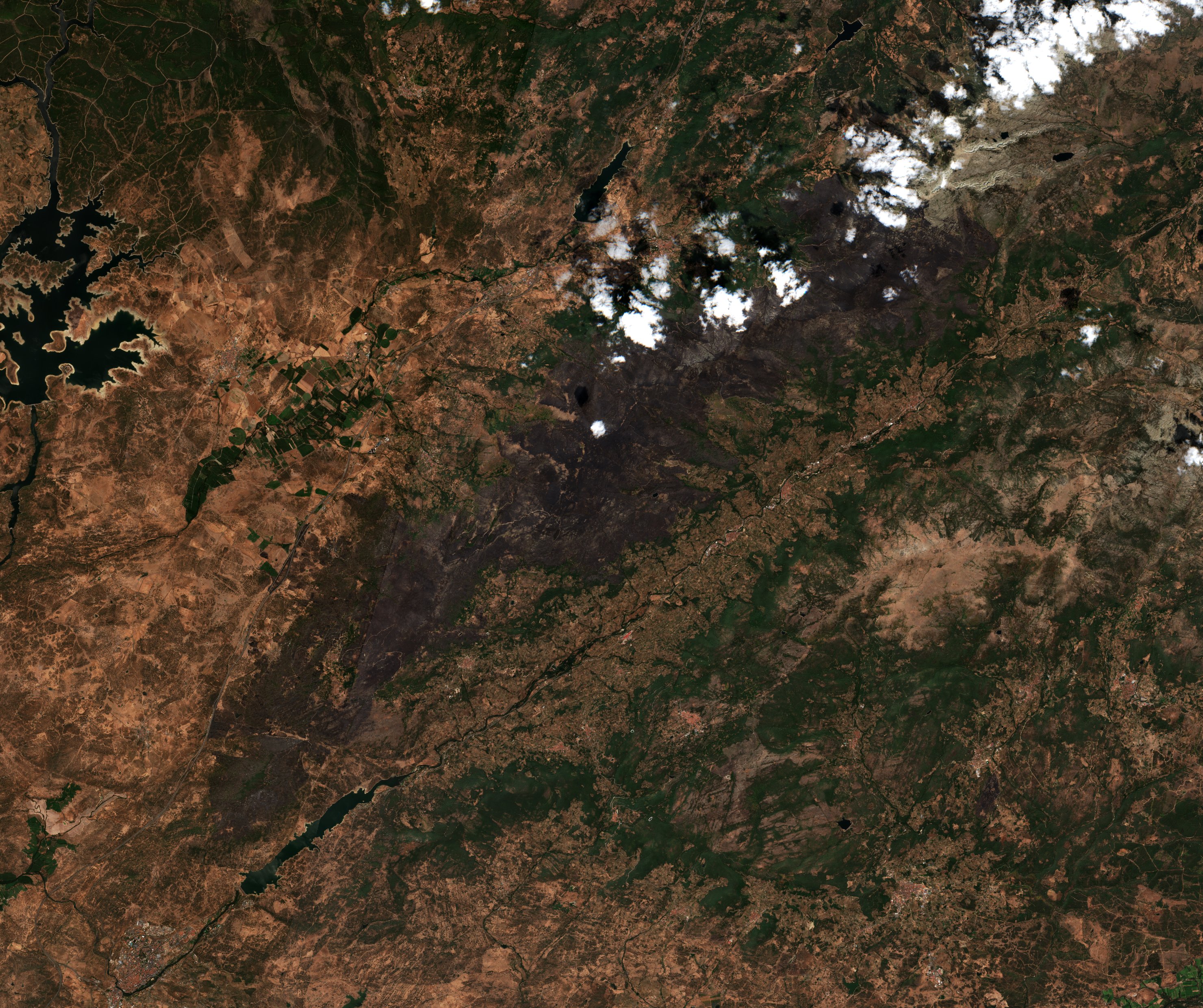The area after the fire, August 23, 2025
