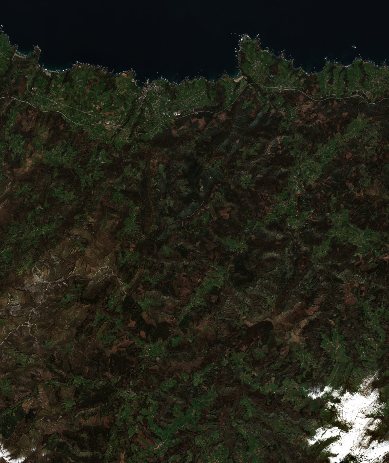 The area before the fire, March 5, 2023