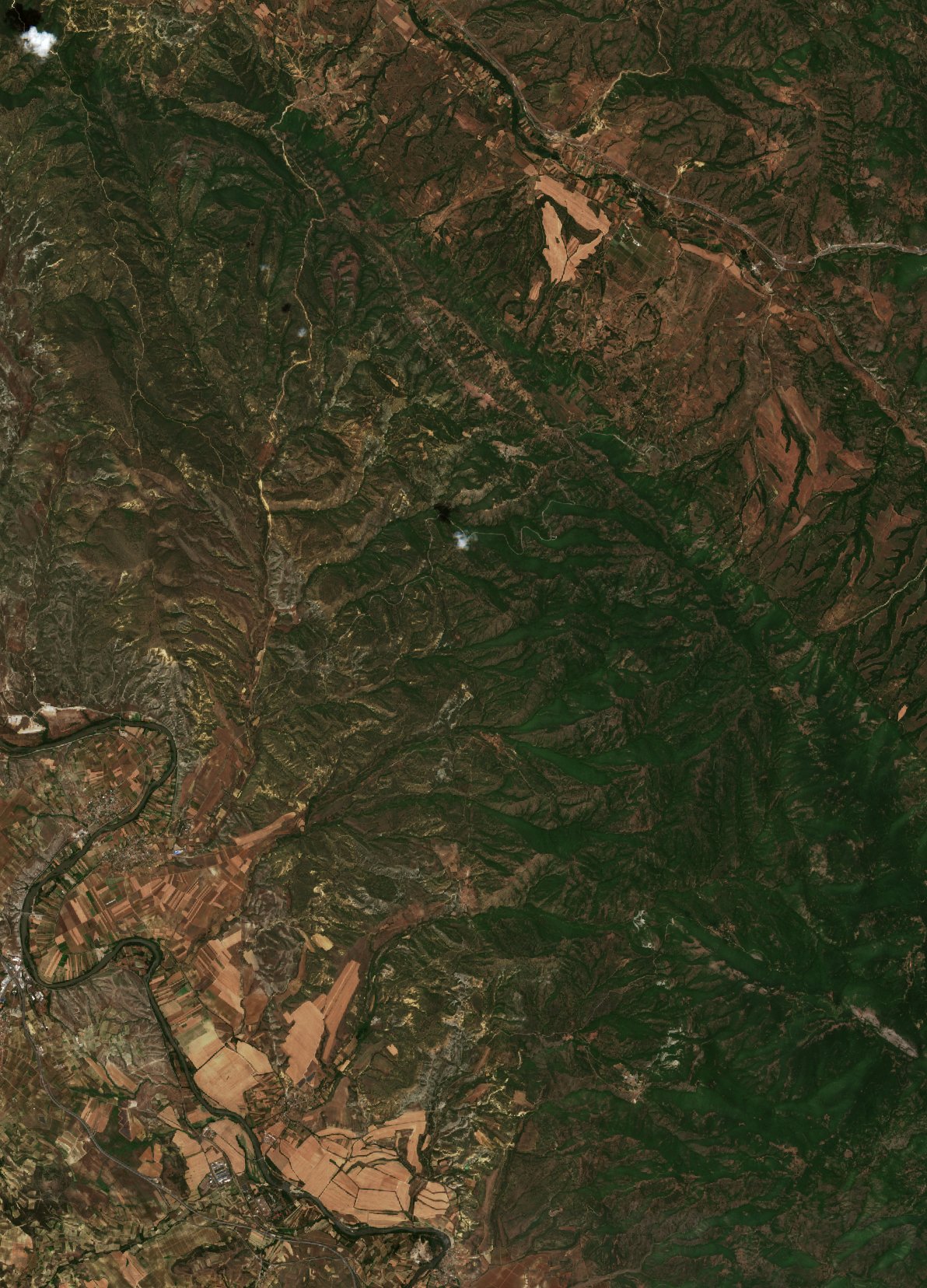 Sentinel-2 images